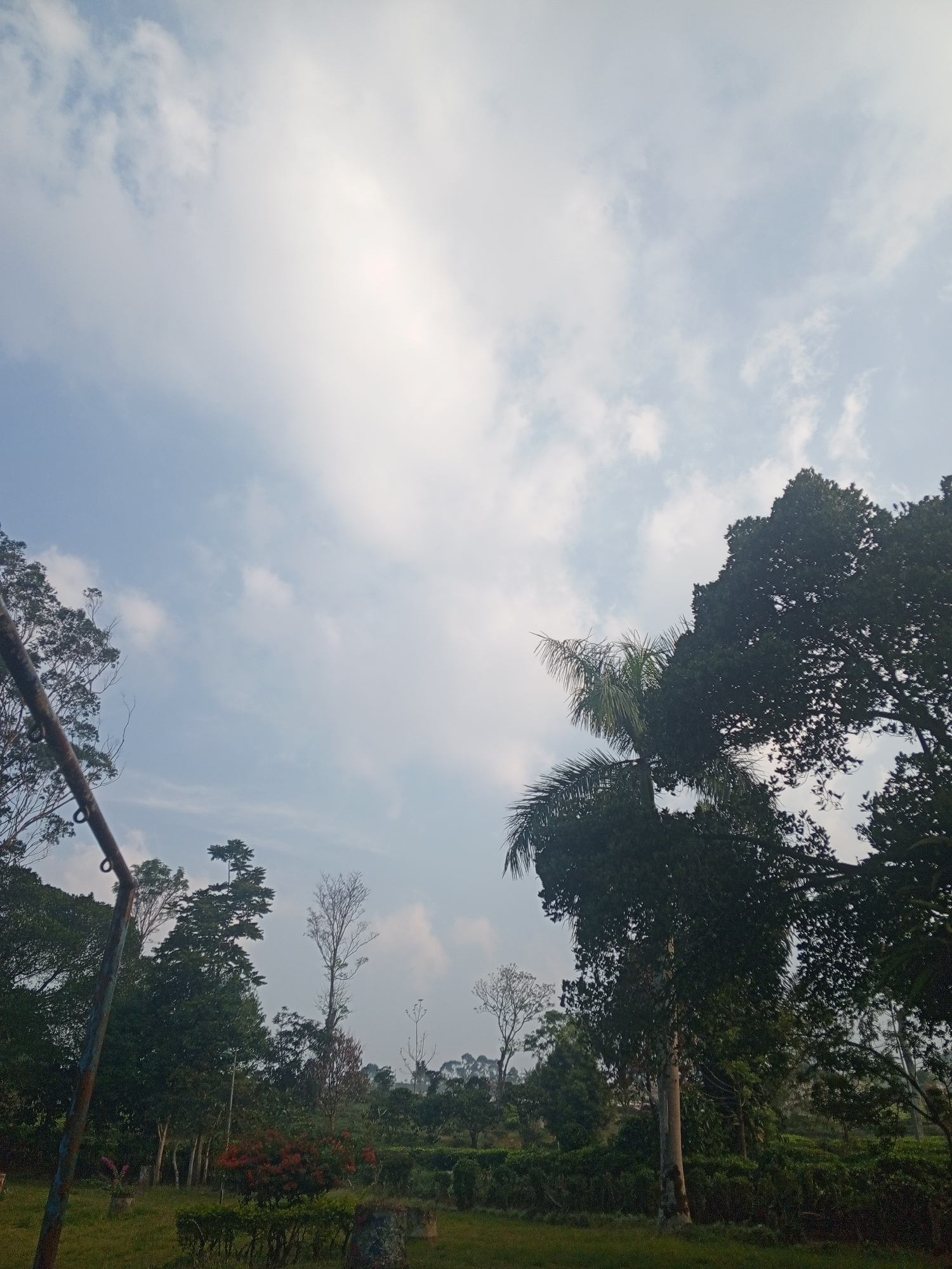 The image shows an outdoor scene with a lush, green environment under a cloudy sky. In the foreground, a rusty metal structure with a circular loop is visible on the left, possibly part of a swing set or playground equipment. The background is filled with a variety of trees and vegetation, including tall, dark green trees that dominate the right side of the frame, a palm tree with feathery fronds, and other deciduous trees with lighter green foliage. In the mid-ground, there are more trees and bushes, some with hints of red flowers. The ground is covered with grass and appears to be uneven terrain. The overall impression is that of a natural landscape within or on the outskirts of Dambulla, Sri Lanka, perhaps a park or a garden area. There are no people or animals visible in the image. The lighting suggests it is daytime, with soft sunlight filtering through the clouds.