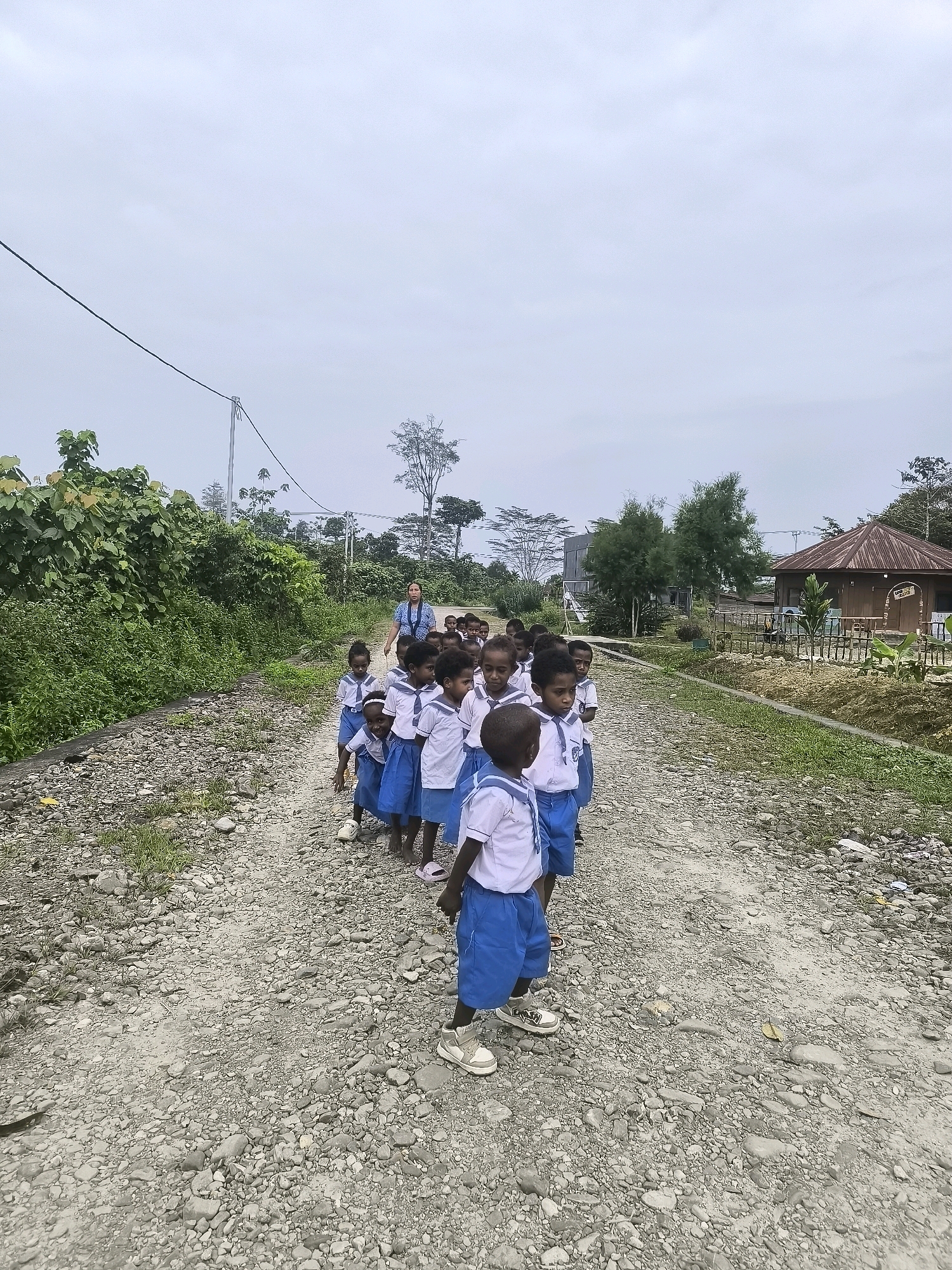 In Timika, Indonesia, a group of young students, dressed in white shirts and blue shorts, are walking in a line on a gravel road. They appear to be on a school excursion, as they are accompanied by an adult, likely a teacher, in the background. The road is surrounded by lush green vegetation and trees. In the distance, there are buildings, including what looks like a wooden structure with a tin roof, suggesting a rural or semi-urban setting. The sky is overcast, indicating a cloudy day. The scene captures a moment of daily life and education in this Indonesian city.