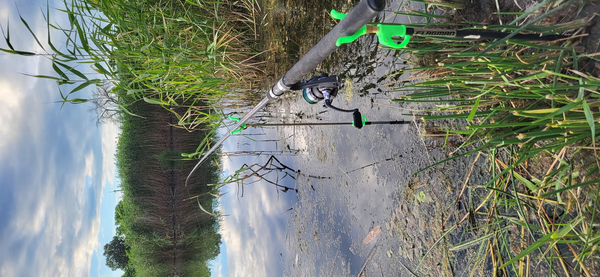 This image depicts a serene fishing scene on the outskirts of Hetmanivka, Ukraine. Two fishing rods are set up on the bank of a calm body of water, likely a river or lake. The rods are equipped with reels and rest in bright green rod holders, secured into the muddy bank amidst tall green reeds. The water is partially covered with aquatic vegetation and reflects the cloudy sky above. The background is dominated by a dense wall of reeds, with some trees visible in the distance on the left side. The overall atmosphere is one of peaceful outdoor activity.