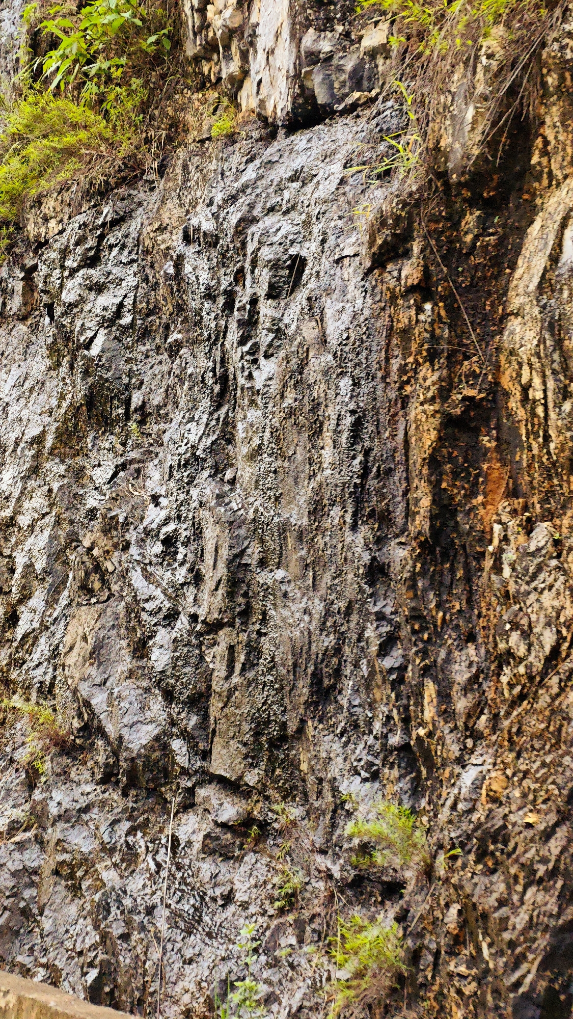 The image shows a close-up view of a steep, rocky cliff face. The cliff appears to be composed of various rock types, including gray and brown. Small plants and moss are growing on the cliff face. The location is likely in a natural, rural area within the Cán Tỷ Commune, Vietnam. There are no people or animals in the image.