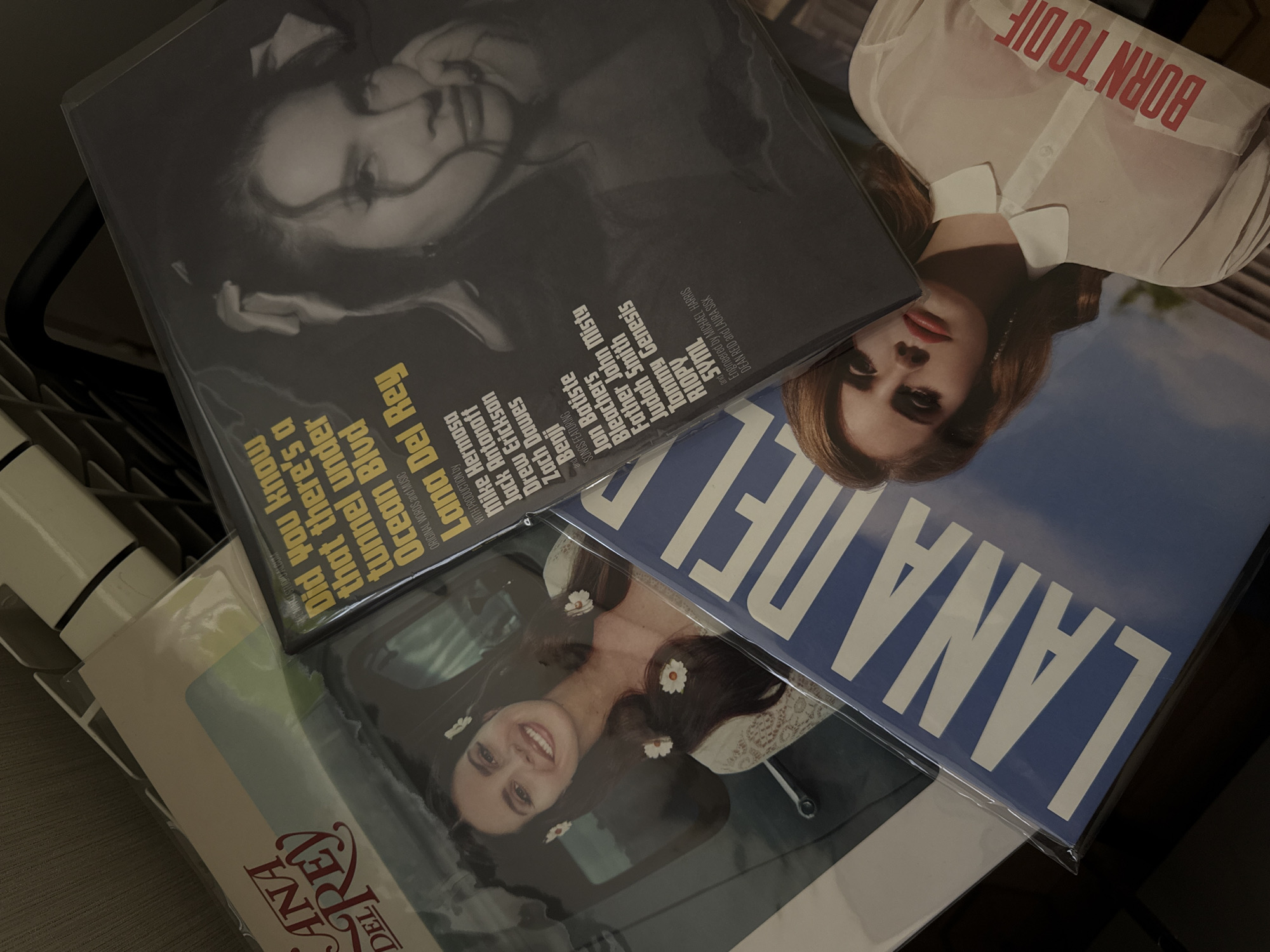 Multiple vinyl records featuring the artist Lana Del Rey are arranged, likely leaning against each other, in what appears to be an indoor setting in Yerevan, Armenia. The lighting is dim, suggesting evening or low-light conditions.
The most prominent album is "Did you know that there's a tunnel under Ocean Blvd," displayed with a black and white portrait of Lana Del Rey. Visible text on this album cover includes its full title, "THE NINTH STUDIO ALBUM," "Lana Del Rey," "ORIGINAL WORDS and MUSIC," and credits for "PRODUCTION by Mike Hermosa Jack Antonoff Drew Erickson Zach Dawes Benji," "SONGS FEATURING Jon Batiste Father John Misty Bleachers Joh Judah Smith Tommy Genesis RIOPY and SYML," and "Engineered by MICHAEL HARRIS DEAN REID and LAURA SISK."
To the right, partially visible and tilted, is the "Born to Die" album, featuring Lana Del Rey wearing a white shirt with "BORN TO DIE" printed in red. Below these, another album is partially visible, featuring a smiling Lana Del Rey with white flowers in her dark hair, characteristic of the "Lust for Life" album. Next to this, a blue cover with large white text "LANA DEL" is visible, possibly an insert or part of the "Lust for Life" packaging. The spine or edge of this album also shows "ANA DEL REY". The records are encased in clear protective sleeves.