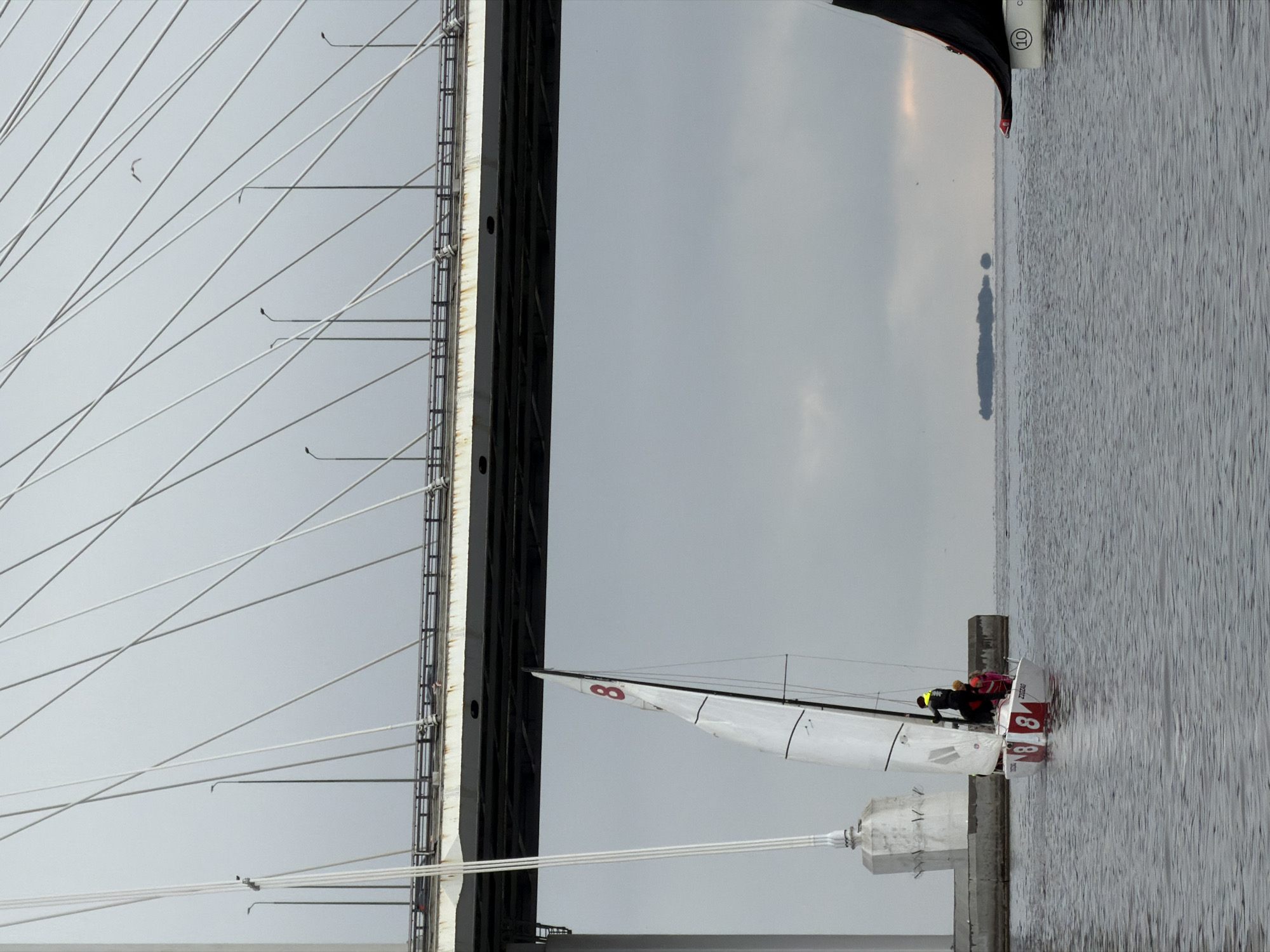 The image depicts a sailboat with the number "8" on its sail navigating under the cable-stayed bridge known as the "Western High-Speed Diameter" (WHSD) in Saint Petersburg, Russia. The bridge's structural elements, including cables and the support tower, are visible on the left. Two people are aboard the sailboat. The sky is overcast, and the water surface shows slight ripples. An island is visible in the distance.