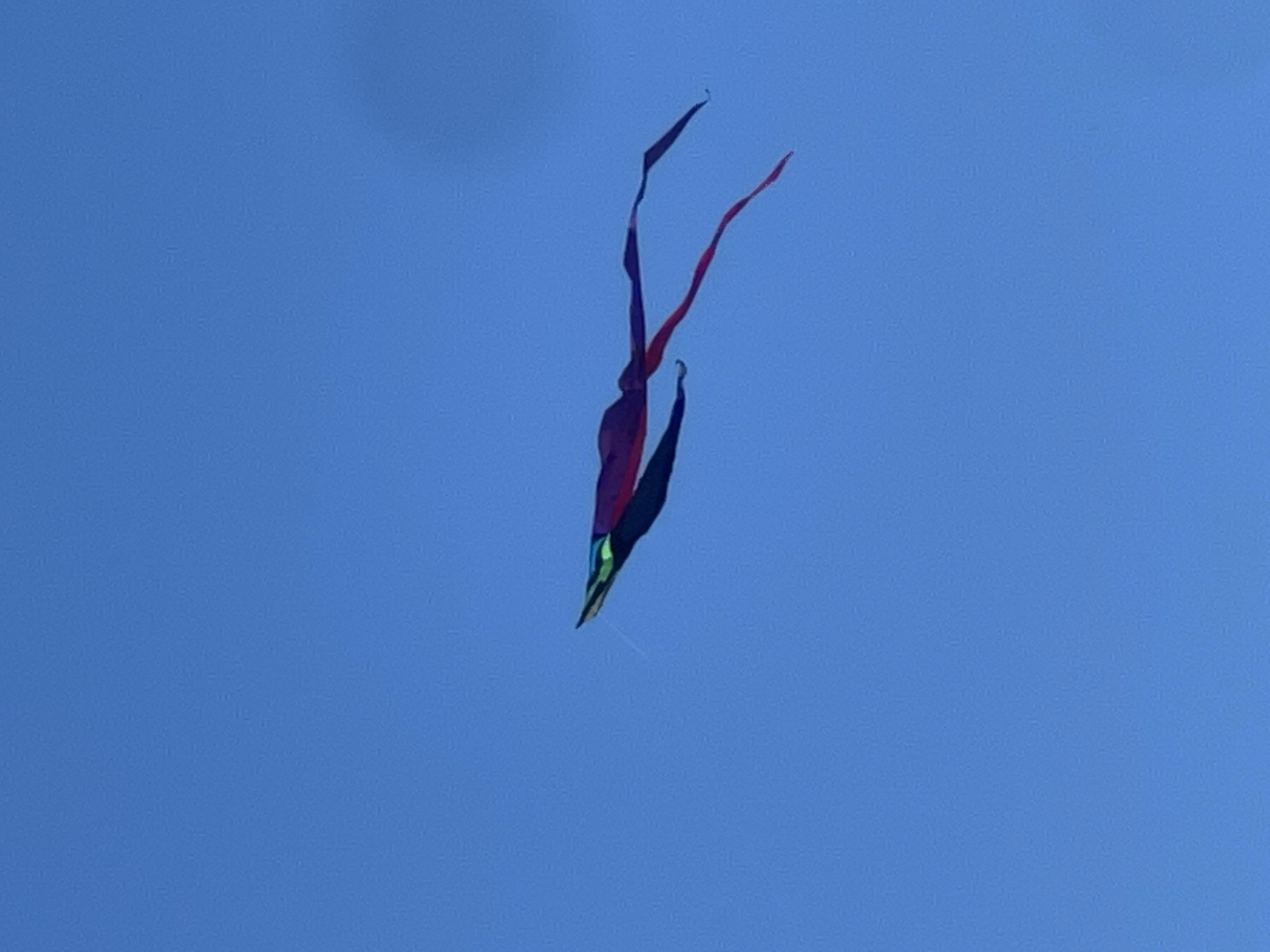 A colorful kite with a long, flowing tail flies against a clear blue sky. The kite appears to be shaped like a stylized creature with a pointed head and two long, segmented tails that trail behind it. The colors visible on the kite are purple, pink, and green. The kite is captured in mid-flight, suspended in the air. The background is a uniform expanse of blue sky, with no visible clouds or other objects. The image is taken from a low angle, looking up at the kite.