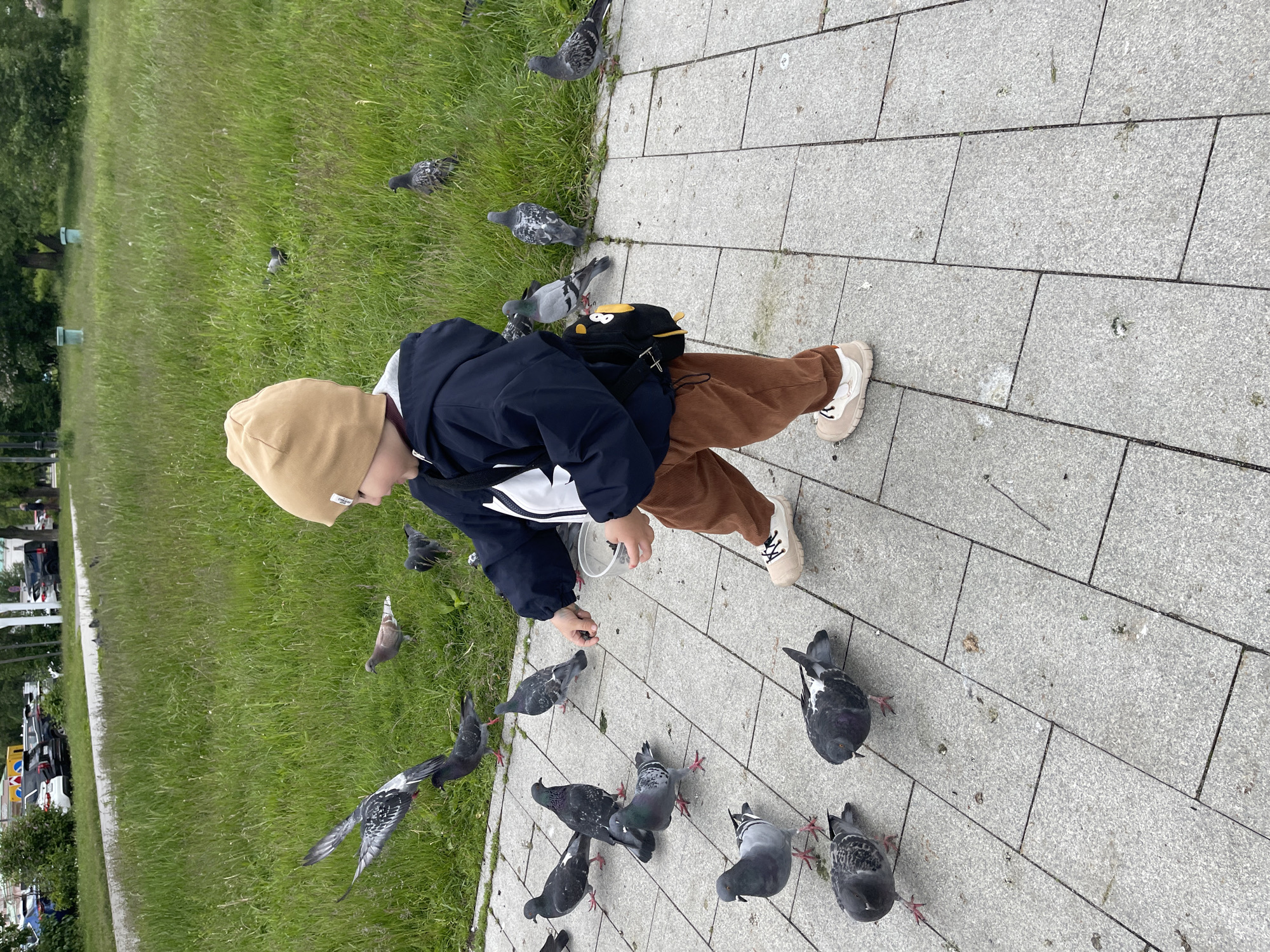 A child with a tan beanie, navy jacket, and brown corduroy pants is feeding pigeons on a paved walkway next to a grassy area. The location appears to be a park or public space in an urban setting, but the city is unknown. The child holds a container, likely filled with food, and extends a hand towards the pigeons, which are gathered around the child's feet and on the walkway. There are multiple pigeons of various colors, some on the ground and one in mid-flight. The walkway is constructed of gray rectangular stones. Behind the walkway, there is a grassy area with trees, and in the background, there are visible parked cars and buildings.