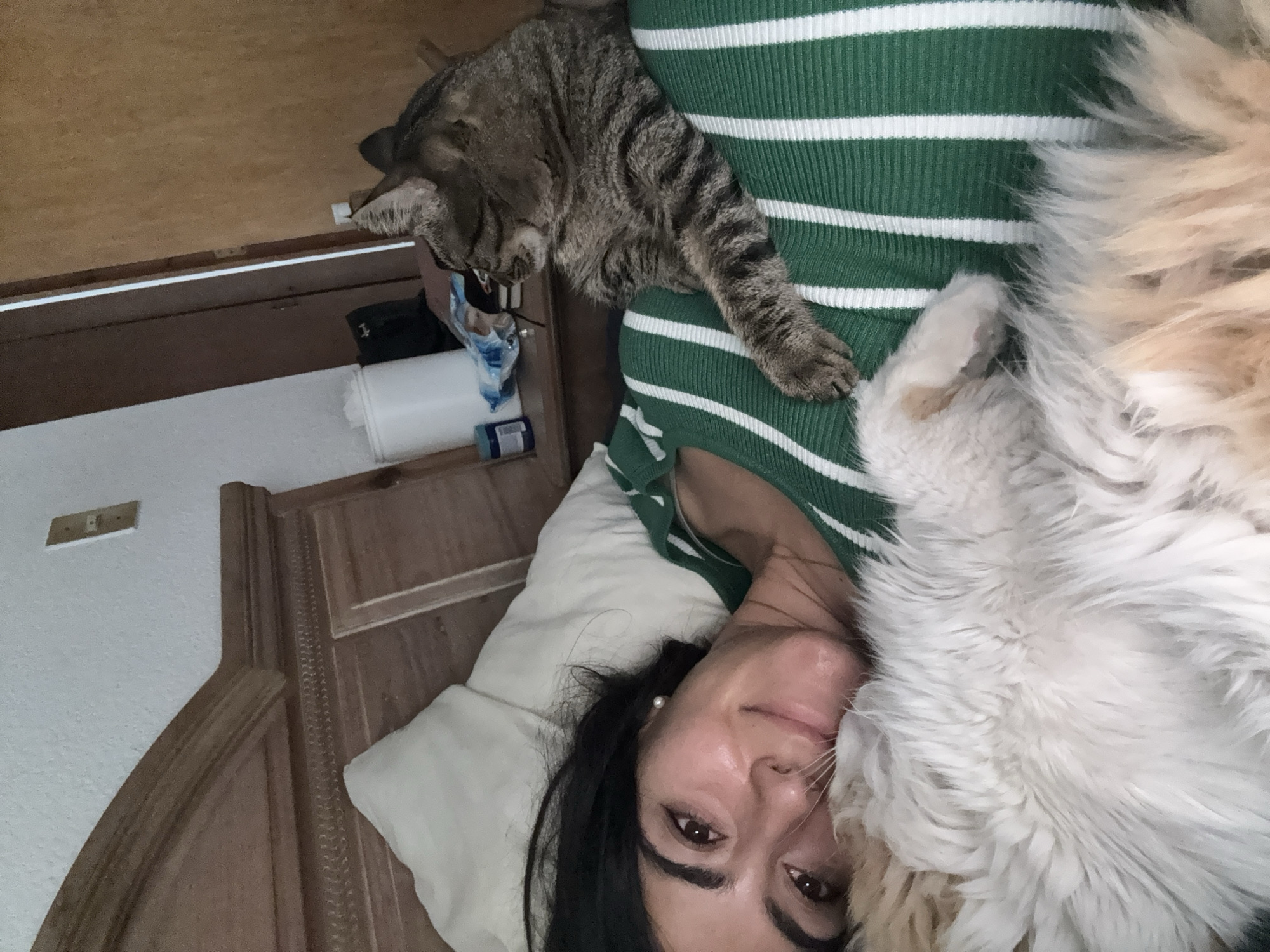 A woman lies on her back in a bed with a light-colored pillow and a brown headboard. She is wearing a green and white striped shirt. Two cats are on her: a tabby cat is near her shoulder and a fluffy, light-colored cat is near her face. The scene appears to be indoors. The location of the city of Puebla, Mexico, cannot be ascertained.