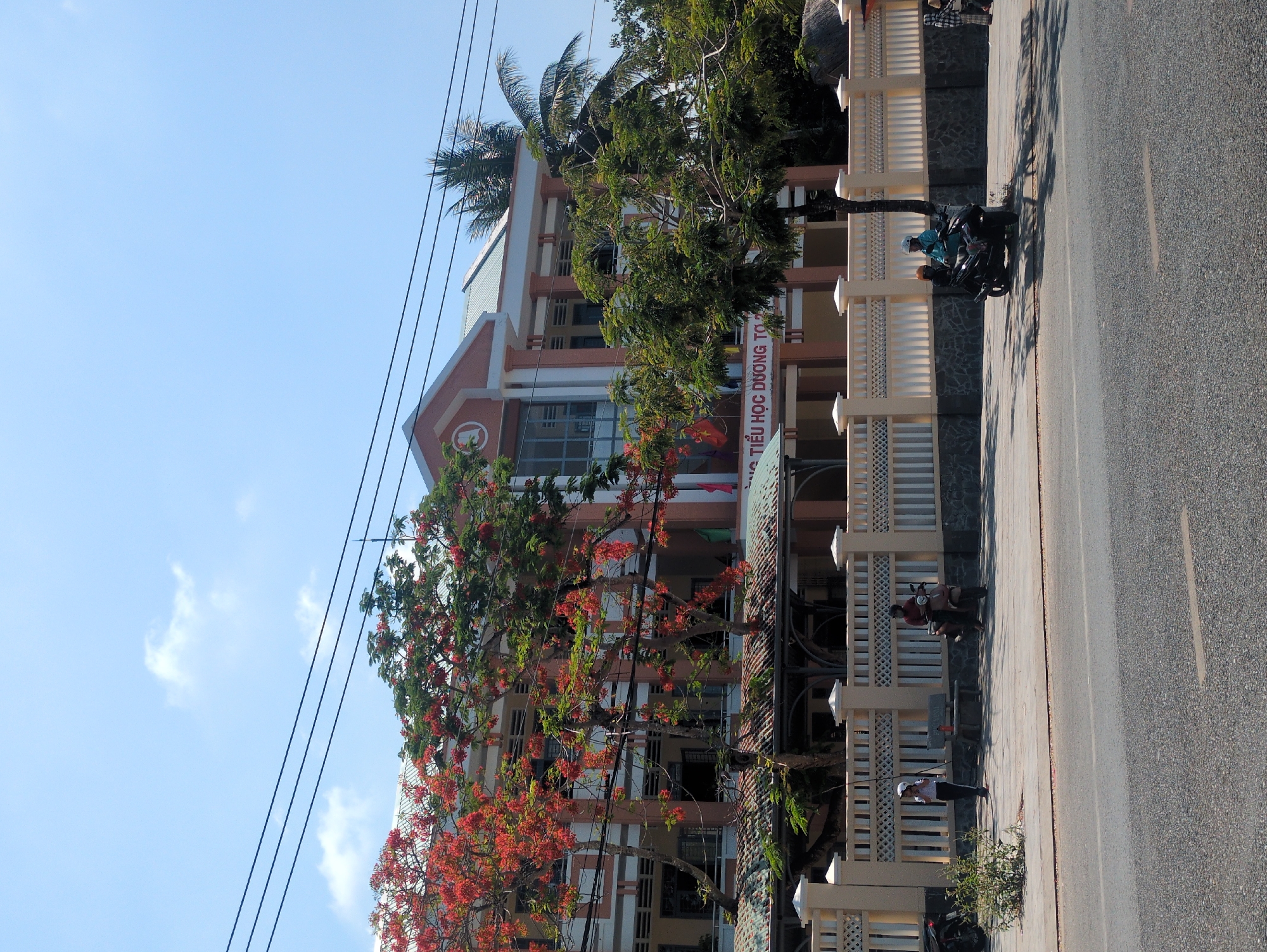The image captures the facade of a building in Phú Quốc, Vietnam. The building is multiple stories, painted in shades of orange and white, and features windows. A large tree with red blossoms stands in front of the building. A fence runs along the street level. Several people are present on the sidewalk near the fence, and motorbikes are parked along the curb. The street is paved, and power lines are visible in the clear blue sky.