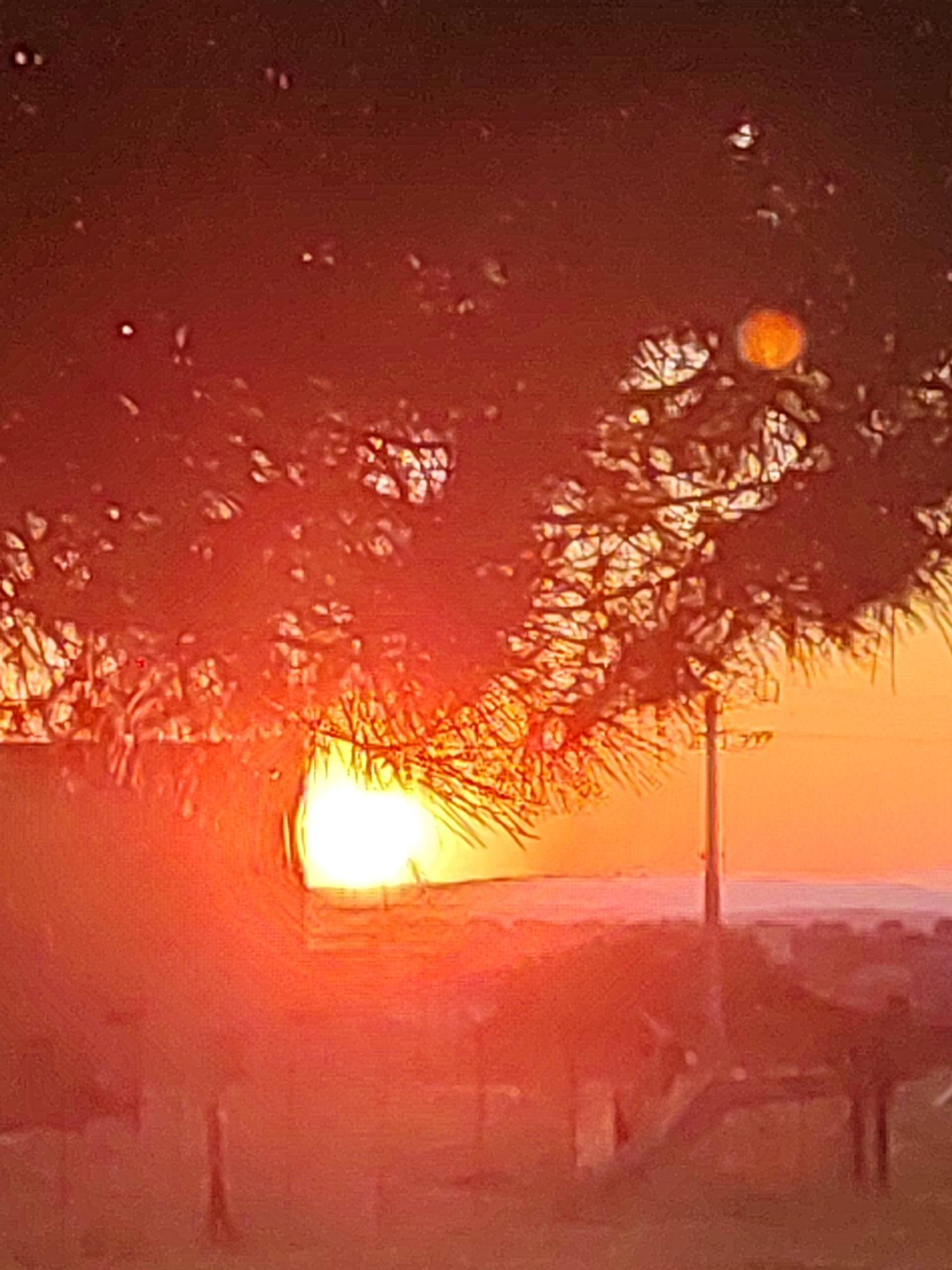 This is a blurry, overexposed photograph taken during sunset in the city of Sobradillo, Spain. The sun, a bright white orb, is partially obscured by the dark branches of a tree in the foreground. The sky is a gradient of orange and yellow, indicating the setting sun. In the middle ground, a utility pole is visible. The background is a blurred landscape that appears to be a town or residential area. The overall impression is one of a hazy, warm evening.