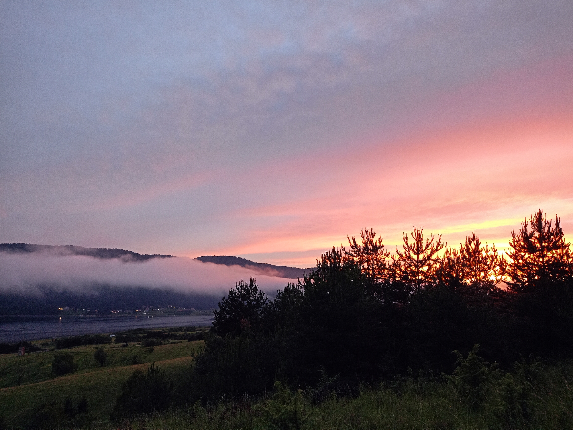 The image depicts a scenic view of the Sarnitsa dam and surrounding landscape in Sarnitsa, Bulgaria, during twilight. The sky transitions from a pale blue-grey at the top to a vibrant pink and orange gradient near the horizon, indicating either sunrise or sunset. Wisps of pink clouds are scattered across the sky. In the middle ground, a body of water, presumably the Sarnitsa dam, is visible, with a line of low-lying hills or mountains shrouded in a layer of fog in the background. The foothills are dotted with small lights, suggesting a settlement or village along the water's edge. In the foreground, a dense line of dark evergreen trees, likely pine trees, stands silhouetted against the colorful sky, with their branches illuminated by the fading light. The ground in front of the trees is covered in dark green grass and some smaller bushes. The overall atmosphere is serene and natural.