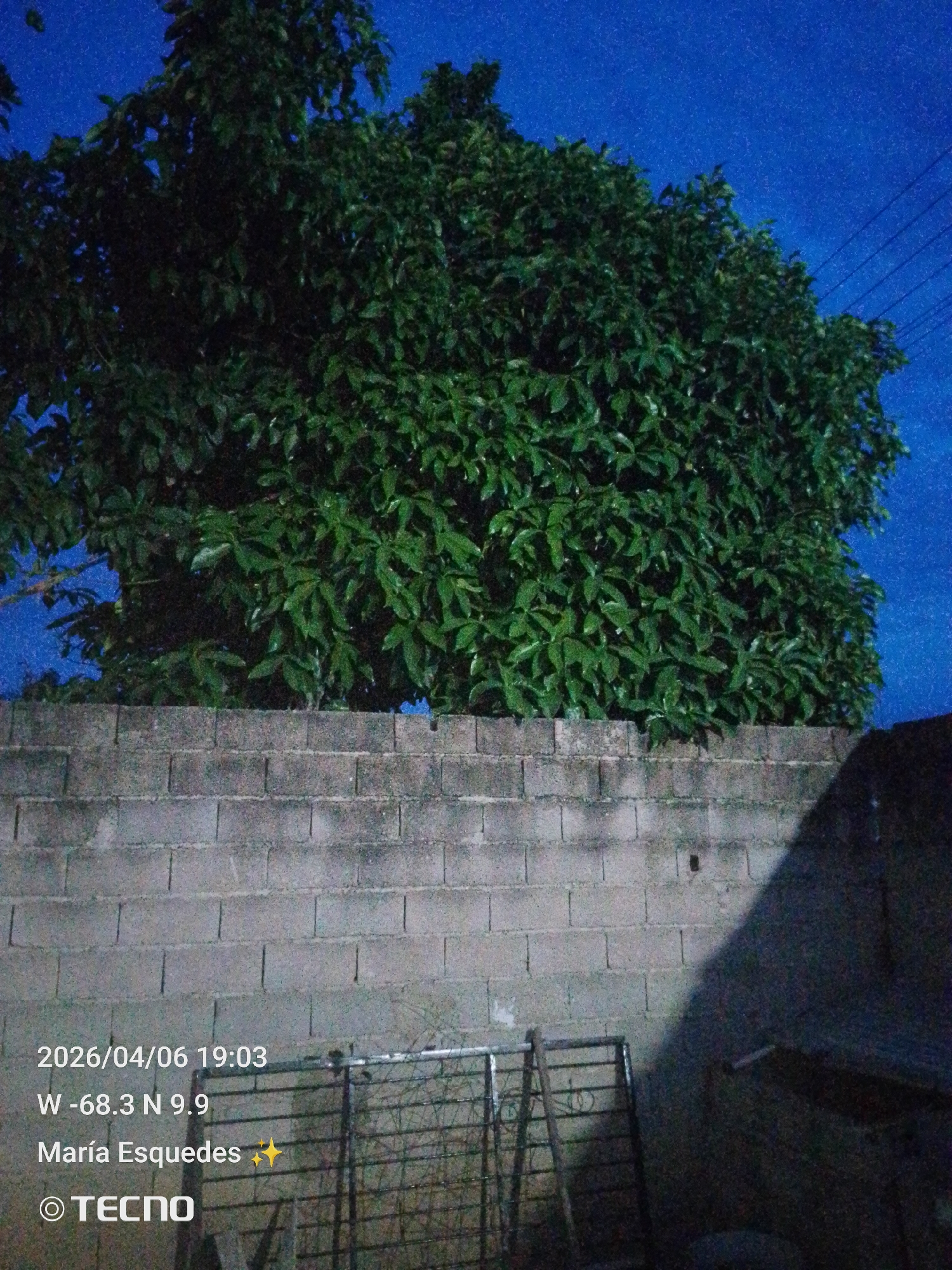 The image depicts a nighttime scene in Tinaquillo, Venezuela, taken on April 6, 2026, at 19:03 local time, with the coordinates W -68.3 N 9.9. A large, leafy tree looms over a cinder block wall. In front of the wall, a metal structure is partially visible in the dim light. A dark shadow is cast on the right side of the image. Above the tree, a deep blue sky is observed with what appears to be light pollution or some other form of atmospheric anomaly. Overhead electric cables are barely visible on the upper right portion of the image. The photo was taken using a TECNO brand device. The image is attributed to María Esquedas.