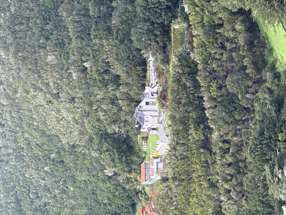 A secluded property nestled within a dense forest. Multiple buildings with varying roof colors (gray, red, and brick) are connected by pathways. A small patch of lawn sits between some of the buildings. The surrounding forest features a mix of light and dark green trees, creating a textured, verdant landscape. The scene appears to be shot from a high vantage point.