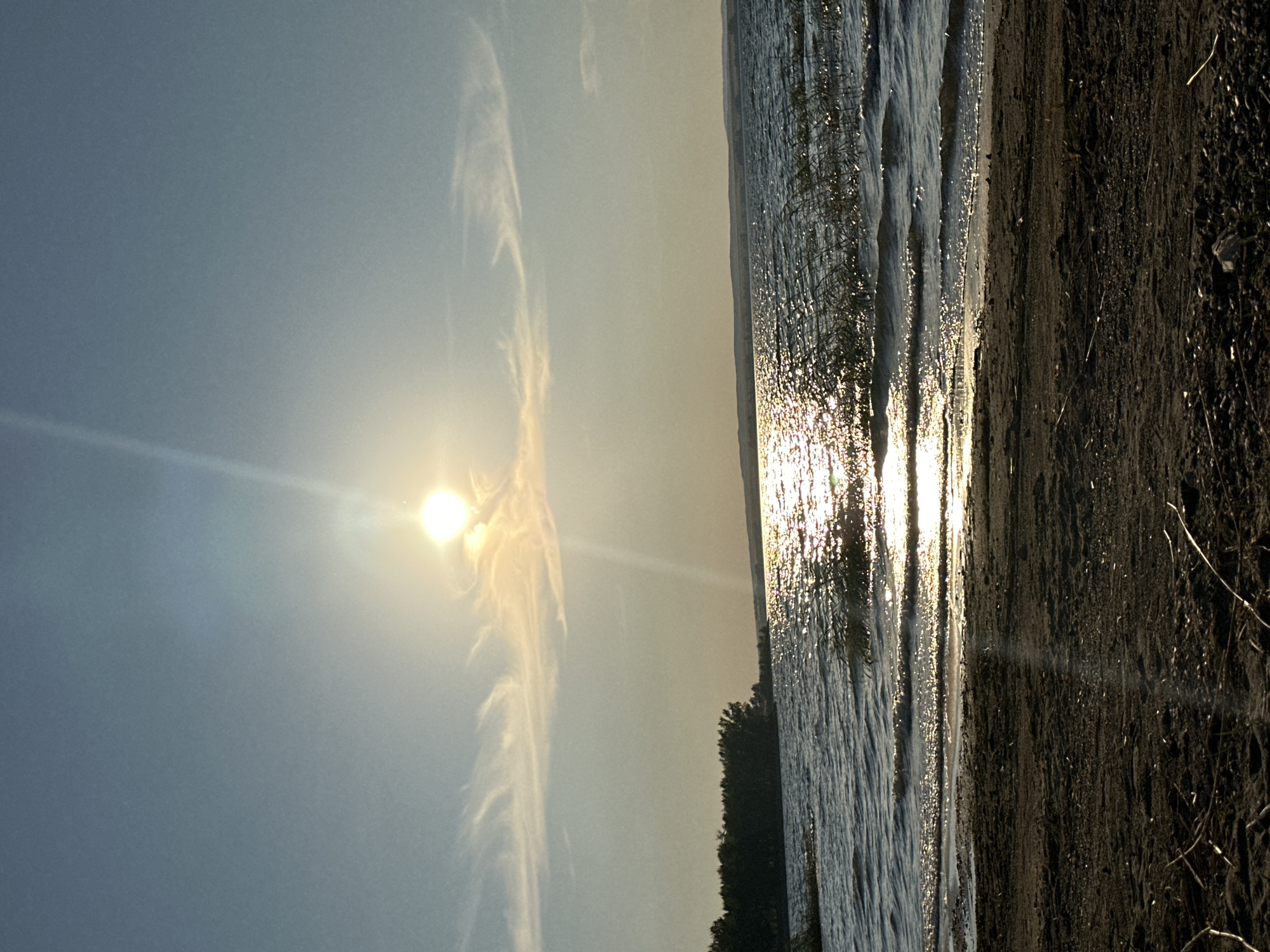 This image depicts a body of water, likely a reservoir, near Energetik, Russia, at sunset. The sun is low on the horizon, casting a warm glow on the scene and creating a shimmering reflection on the water's surface. In the foreground, there is a sandy shoreline with scattered debris. The middle ground is dominated by the rippling water, with some reeds or vegetation visible along the edge. In the background, a dense line of trees stretches across the horizon, suggesting a wooded area bordering the water. The sky is clear with a few wispy clouds illuminated by the setting sun. There are no people or animals visible in the image, and no discernible actions or interactions are taking place. The overall impression is one of natural tranquility and the peaceful end of a day.