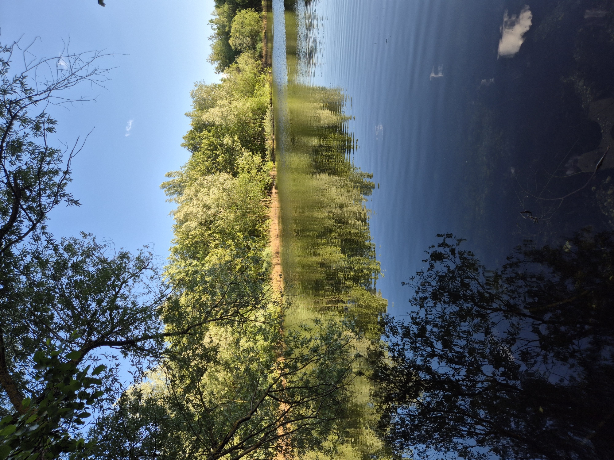 This is a photograph taken from the bank of a body of water, likely a lake or a wide river. The water's surface is calm with gentle ripples, reflecting the blue sky and the lush green trees that line the opposite bank. A tree branch with green leaves overhangs the water from the left side of the frame. The sky is clear with a few scattered white clouds. The overall scene depicts a tranquil natural environment. The location is identified as Ergolding, Germany. There are no people or animals visible in the image, nor any specific objects or actions that suggest human activity beyond the implied existence of a park or recreational area due to its well-maintained appearance. The composition focuses on the interplay of light, water, and foliage.