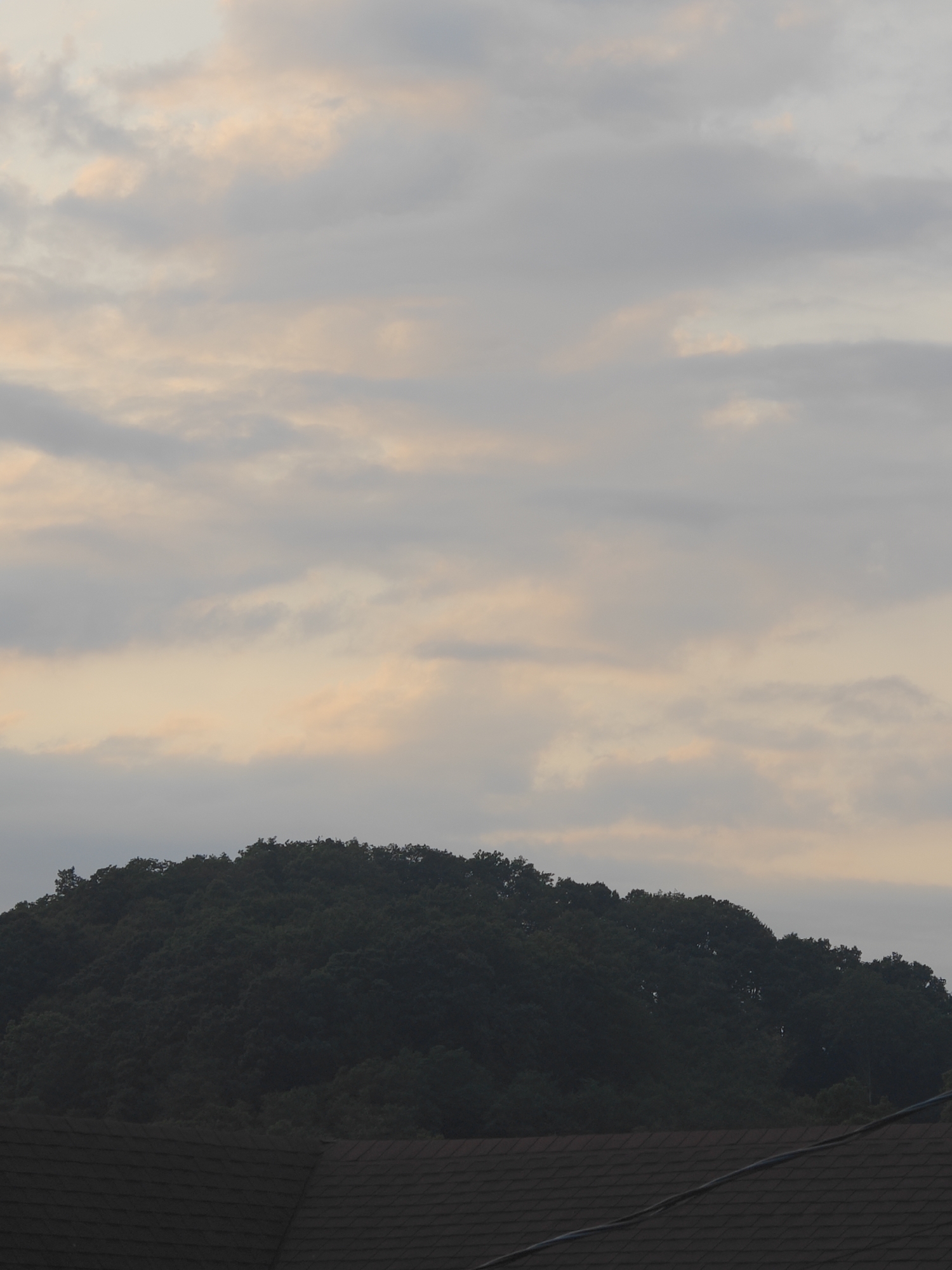 The image shows a dark, tree-covered hill against a sky filled with soft, muted clouds that have a hint of peach and gray. In the foreground, the dark brown, shingled roof of a building is visible, with a thin wire running diagonally across it. The overall impression is a serene, twilight scene, likely captured in a suburban or semi-rural setting given the presence of the building and the natural landscape. There are no people or animals visible in the frame. The lighting suggests it is either dawn or dusk.
