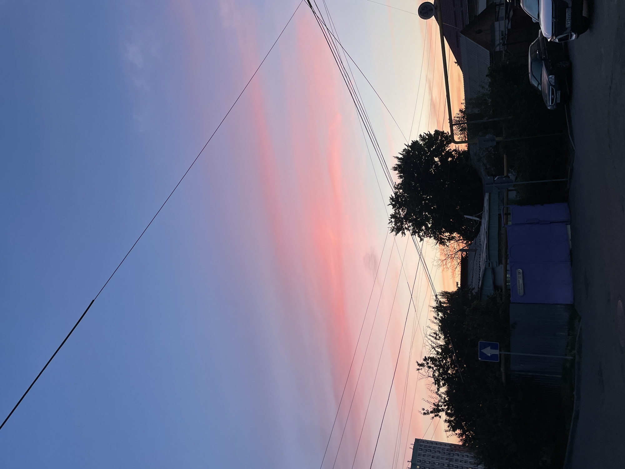 The image depicts a street scene at dusk in Almaty, Kazakhstan. A vibrant sky, transitioning from deep blue to pink and orange hues, dominates the upper portion of the frame, with thin clouds stretched horizontally. Several power lines crisscross the sky. In the middle ground, a dense cluster of trees obscures the lower parts of residential buildings and a tall apartment building is visible in the far left. A blue fence with a street sign showing an upward arrow stands in front of the trees. Two cars are parked on the asphalt road in the foreground. The overall atmosphere is calm and serene, characteristic of a city winding down for the evening.