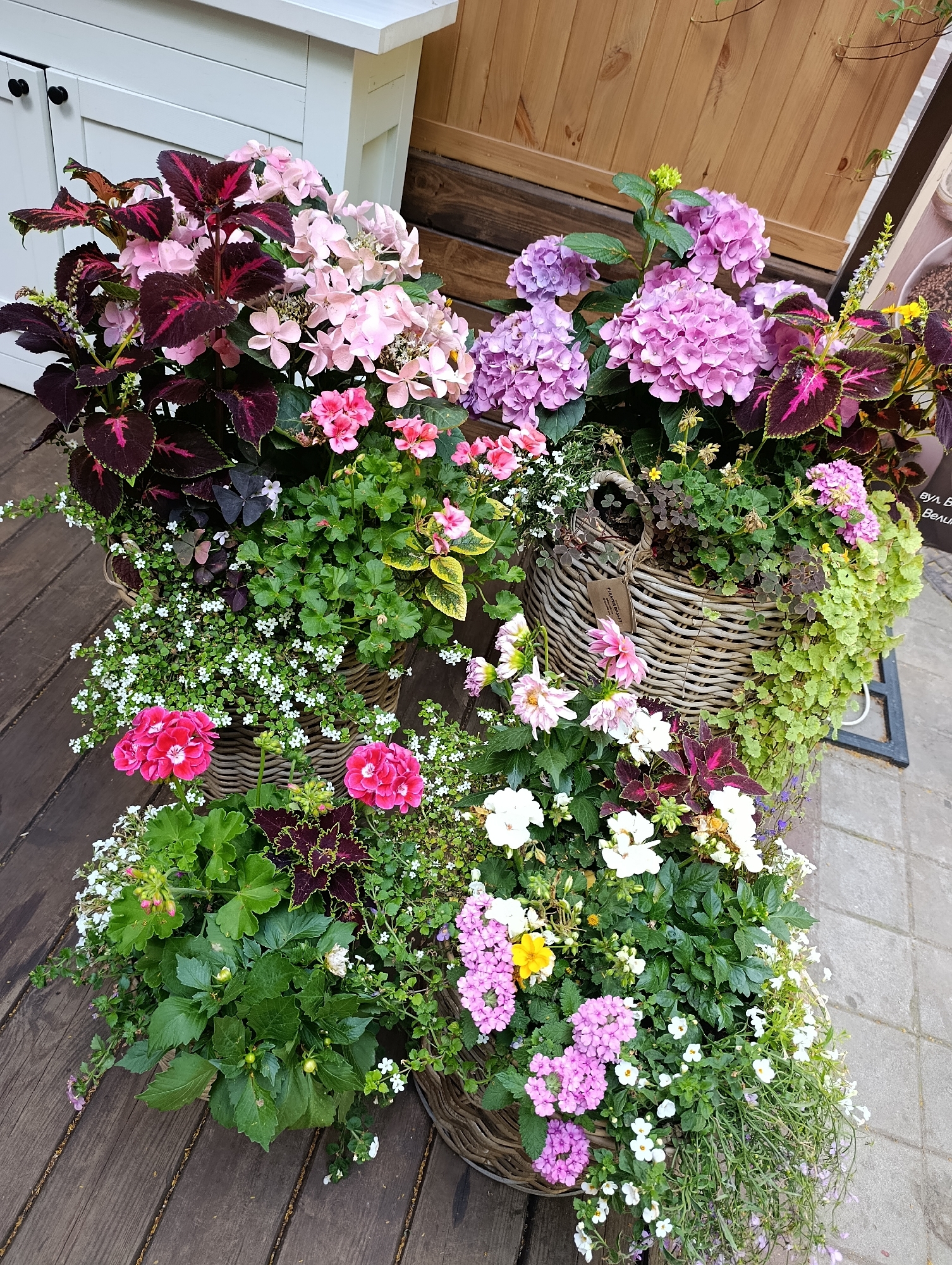 This is a high-angle, medium shot of a collection of potted plants, likely hydrangeas and coleus, arranged on a wooden deck. The pots are woven wicker baskets of various sizes. The plants are lush and colorful, with shades of pink, purple, and deep red foliage. Some small white flowers are also visible throughout the arrangement. In the background, a light-colored cabinet with black knobs is partially visible, as is a section of wooden wall. The scene appears to be outdoors, possibly on a patio or balcony. Based on the architectural style and the presence of Ukrainian text on a sign in the background, the location is likely Kyiv, Ukraine. There are no people visible in the image.