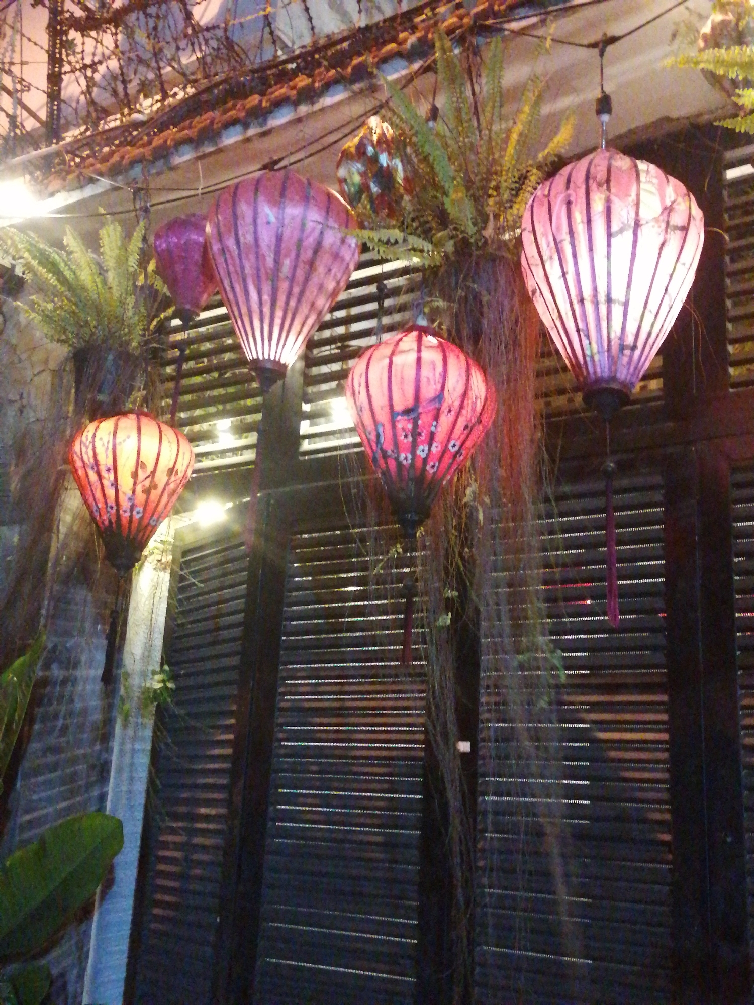 The image captures an outdoor scene in Ho Chi Minh City, Vietnam, featuring several decorative lanterns. The lanterns, predominantly in shades of pink and red, are illuminated, casting a warm glow. They are suspended from above, suggesting they are part of an outdoor dining area or a decorative installation.
The lanterns are made of a translucent material, possibly silk or paper, stretched over a frame. Each lantern has a distinctive shape, with vertical ribs adding to their structure and visual appeal. Some of the lanterns are adorned with delicate patterns, including floral motifs and possibly depictions of birds.
The background reveals a dimly lit environment with horizontal slatted blinds, common in Vietnamese architecture, suggesting a restaurant or a residential building. Hanging plants and vines add a natural element to the scene, with ferns being particularly visible. The overall ambiance is somewhat atmospheric and potentially festive due to the lighting and decorations. The time of day appears to be evening or night, indicated by the artificial lighting and the dimness of the surroundings. There are no people visible in the image.