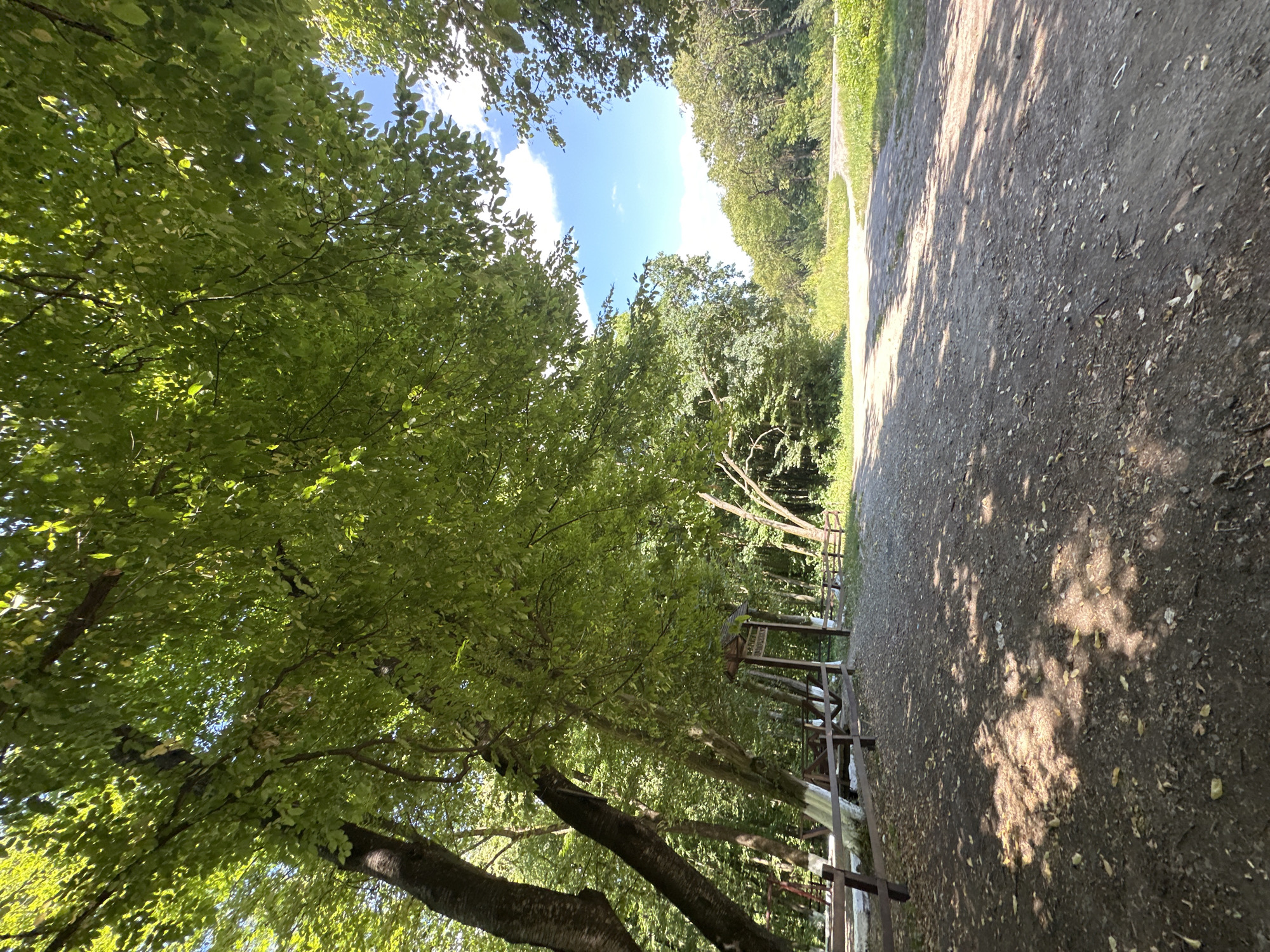 The image depicts a sun-dappled dirt path winding through a forest clearing. Large, leafy trees canopy the scene, casting dappled shadows on the path and surrounding ground. To the left, a wooden fence encloses a picnic area with benches and a covered structure, possibly a gazebo. In the background, the path continues into a dense forest of green trees, with a bright blue sky and scattered white clouds visible above. The overall impression is one of a serene, natural environment, likely a park or recreational area. There are no people visible in the image.