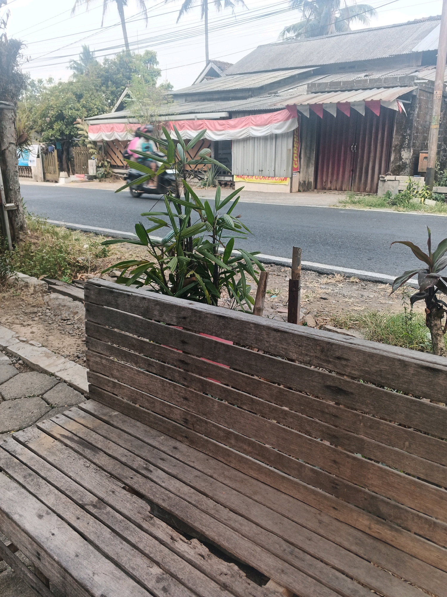 A weathered, outdoor wooden bench is in the foreground of this image, which appears to be taken in Ungaran, Indonesia. The bench faces a street with a motorcycle carrying two passengers in motion. To the right of the street, a building with a corrugated metal roof has a storefront with red and white draped awnings. A small green plant grows in front of the bench, partially obscuring the view of the street. The ground next to the bench is a mixture of dirt, gravel, and paving stones. The background shows trees and utility lines against a bright, overcast sky.