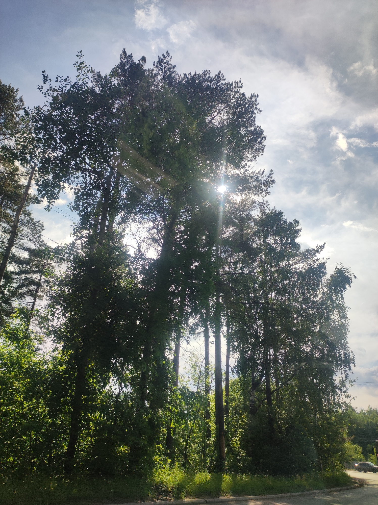 The image shows a view of trees against a partly cloudy sky. The sun is shining through the trees. The location is stated as being in the city of Chaikovsky, Russia. In the lower right corner, a section of a road and a vehicle can be seen. The area appears to be a roadside with natural vegetation.