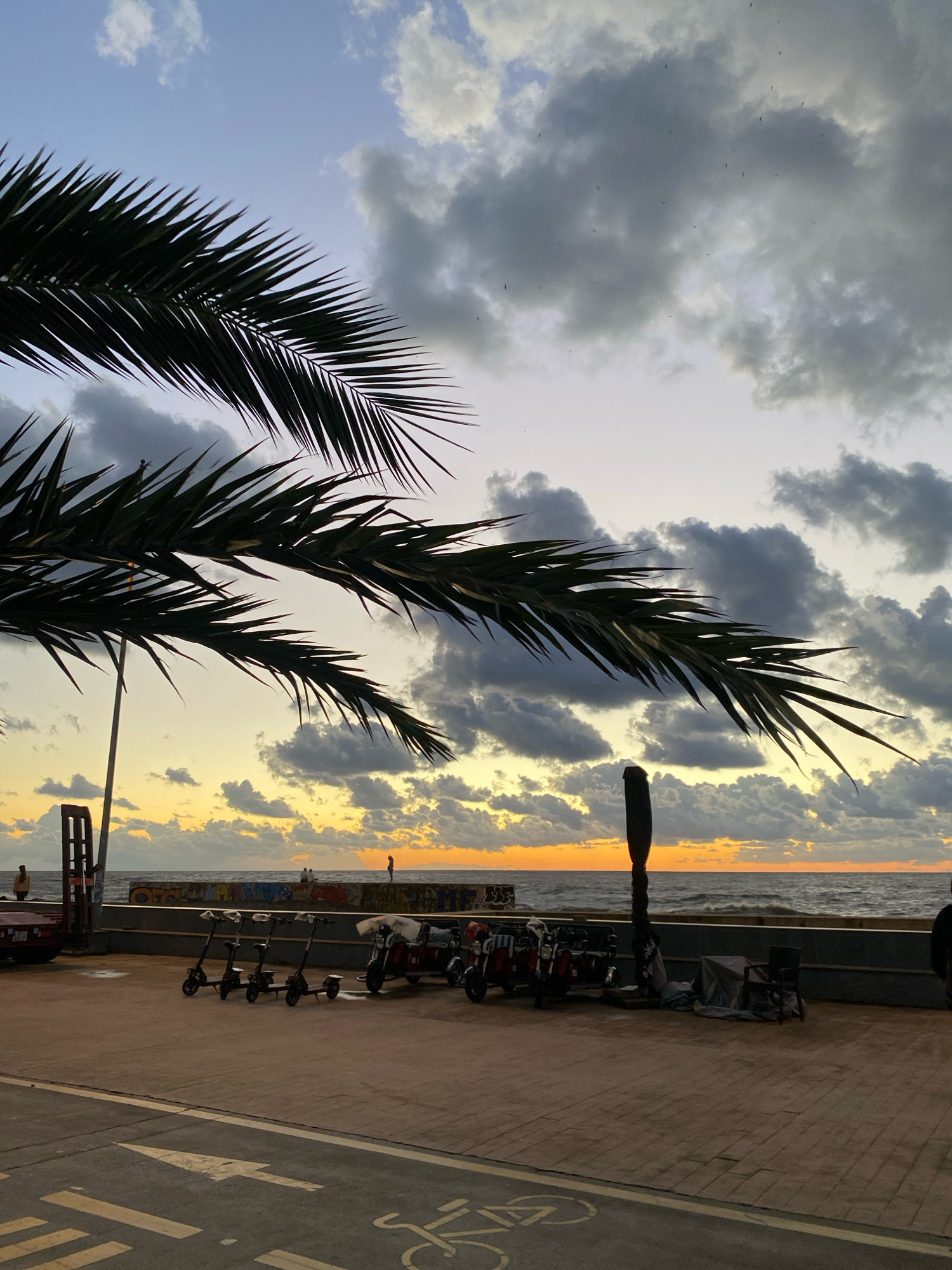 In Unknown, Unknown, a serene sunset scene unfolds along a coastal promenade. A large palm frond dominates the foreground, its dark silhouette contrasting with the softly hued sky. Beyond the frond, the sea stretches to the horizon, marked by a band of orange and yellow light as the sun dips below the clouds. The sky is filled with dramatic, dark gray clouds, interspersed with patches of lighter gray and a pale lavender gradient near the horizon.
Along the promenade, a row of electric scooters is parked, some covered with tarps. To the left, a red car and a tall, dark structure with a red accent are visible. A low wall, adorned with graffiti, separates the promenade from the sea. Several figures can be seen on the wall and near the water's edge, appearing as small silhouettes against the bright horizon. A lone figure stands at the edge of the water, while others are gathered closer to the wall. The promenade itself is paved with brick-like tiles, and a bicycle lane is marked on the pavement in the lower portion of the image. A tall, dark pole with a rounded top stands near the parked scooters. The overall atmosphere is tranquil, capturing the end of a day by the sea.