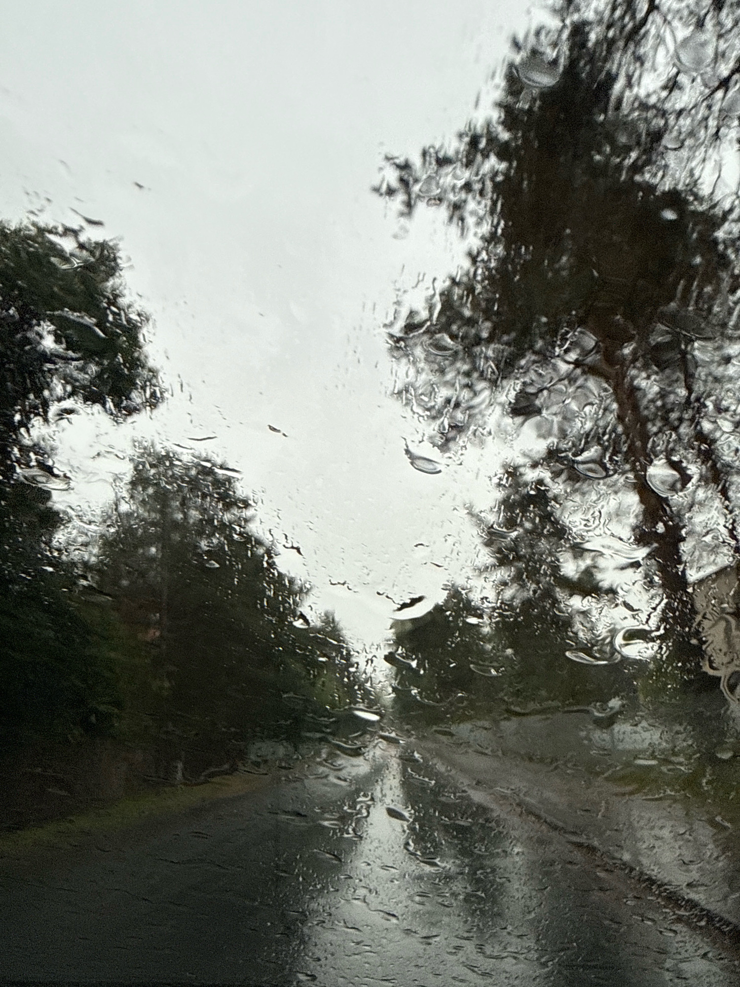 The image depicts a view through a rain-streaked car windshield, looking out onto a tree-lined road. The sky is overcast and gray, indicative of rainy weather. Water droplets distort the view of the trees and the road, creating a blurred and impressionistic effect. The road surface appears wet and reflective, suggesting ongoing rainfall. The scene suggests a drive through a wooded area. The location is identified as Tallinn, Estonia, implying the scene is a road within or near the city, likely on a day with inclement weather. There are no people or distinct actions visible, only the environmental conditions and the obstructed view of the surroundings.