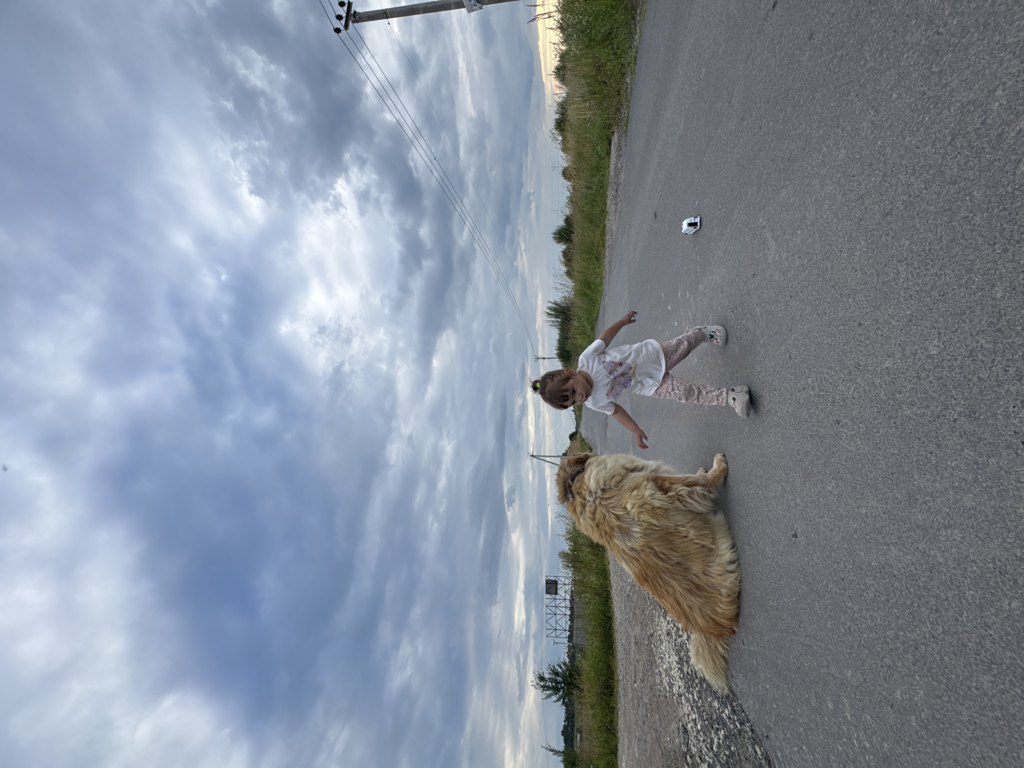 In Kempelevo, Russia, a shaggy, golden-brown dog sits on an asphalt road, facing a young girl. The girl, with her hair pulled back in a bun, wears a white t-shirt with a butterfly print and patterned leggings. She is in mid-stride, reaching out towards the dog. A small, white toy caravan sits on the road in front of her. The road is flanked by tall grass and vegetation, with a power line pole and wires visible in the background. The sky is overcast with dramatic clouds.