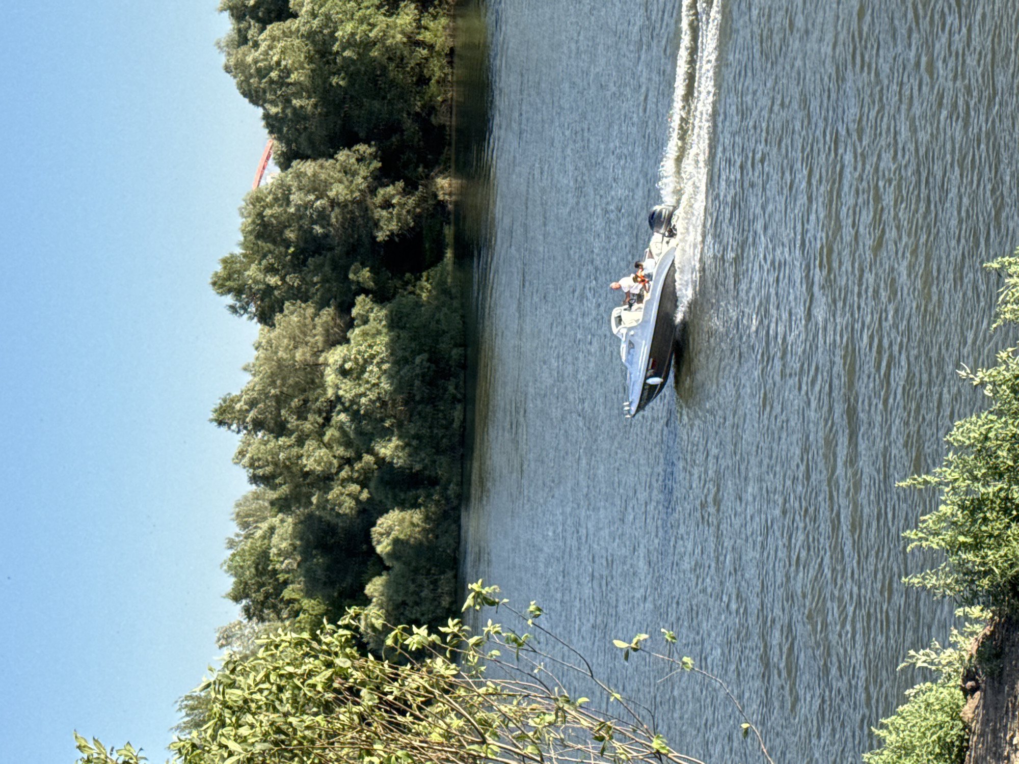 The media file depicts a speed boat with two people on a body of water. The boat is dark colored and appears to be moving at a high speed, creating a wake behind it. One person is standing and steering the boat, while the other is seated. The surrounding environment is lush with green trees on the left bank and foliage on the right. The sky is clear and blue, suggesting a sunny day. A red structure is partially visible behind the trees on the left bank, the nature of which is unclear from the image. The scene appears to be a natural setting, possibly a river or lake, given the presence of trees and the calm water. The overall impression is one of leisure and recreation on a bright day. The image is oriented vertically, with the water and boat dominating the right side of the frame and the trees and sky on the left. The specific location is Novosibirsk, Russia. There is no visible text in the image.