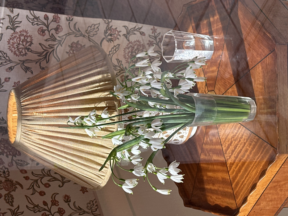 The image presents an indoor scene within a building in London, United Kingdom. A polished, octagonal wooden table, featuring distinct wood grain and a geometric inlay pattern, occupies the foreground. Upon the table, a clear cylindrical glass vase holds a dense bouquet of approximately twenty white, bell-shaped flowers with prominent green stems, consistent with Leucojum (snowflakes). The flowers' stems are submerged in water within the vase. To the right of the floral arrangement, a clear, faceted glass tumbler containing a small volume of water is also present on the table surface. Positioned behind the vase and partially obscured by the flowers, an illuminated table lamp with a pleated, beige fabric lampshade casts a warm glow. The lamp's ceramic base is partially visible, exhibiting a subtle patterned design. The background consists of a wall or curtain displaying a repeating floral motif in muted red-brown and green hues on a light-colored ground. Natural sunlight enters from the left, creating strong reflections and elongated shadows across the table's surface and objects. No individuals are present in the scene. The precise location within London is not discernible from the visual information provided.