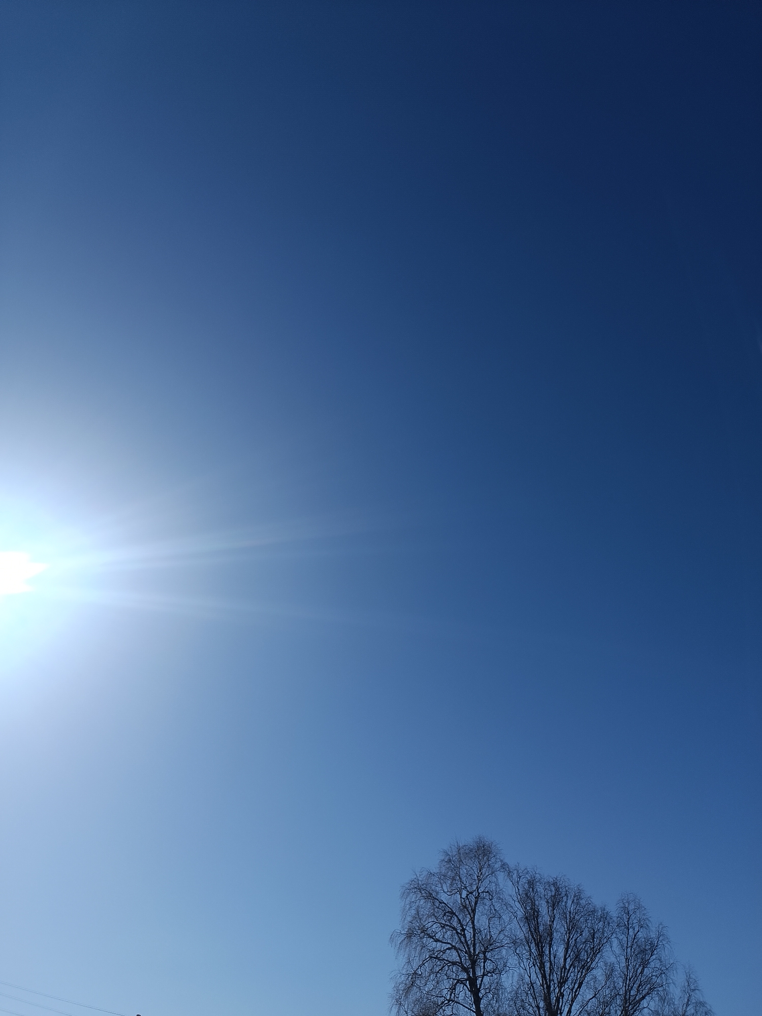 The image depicts a bright blue sky with the sun shining intensely in the lower left corner, causing a lens flare. A group of bare trees is visible in the lower right corner of the image. Based on the information provided, the location is in Пешнигорт, Russia.