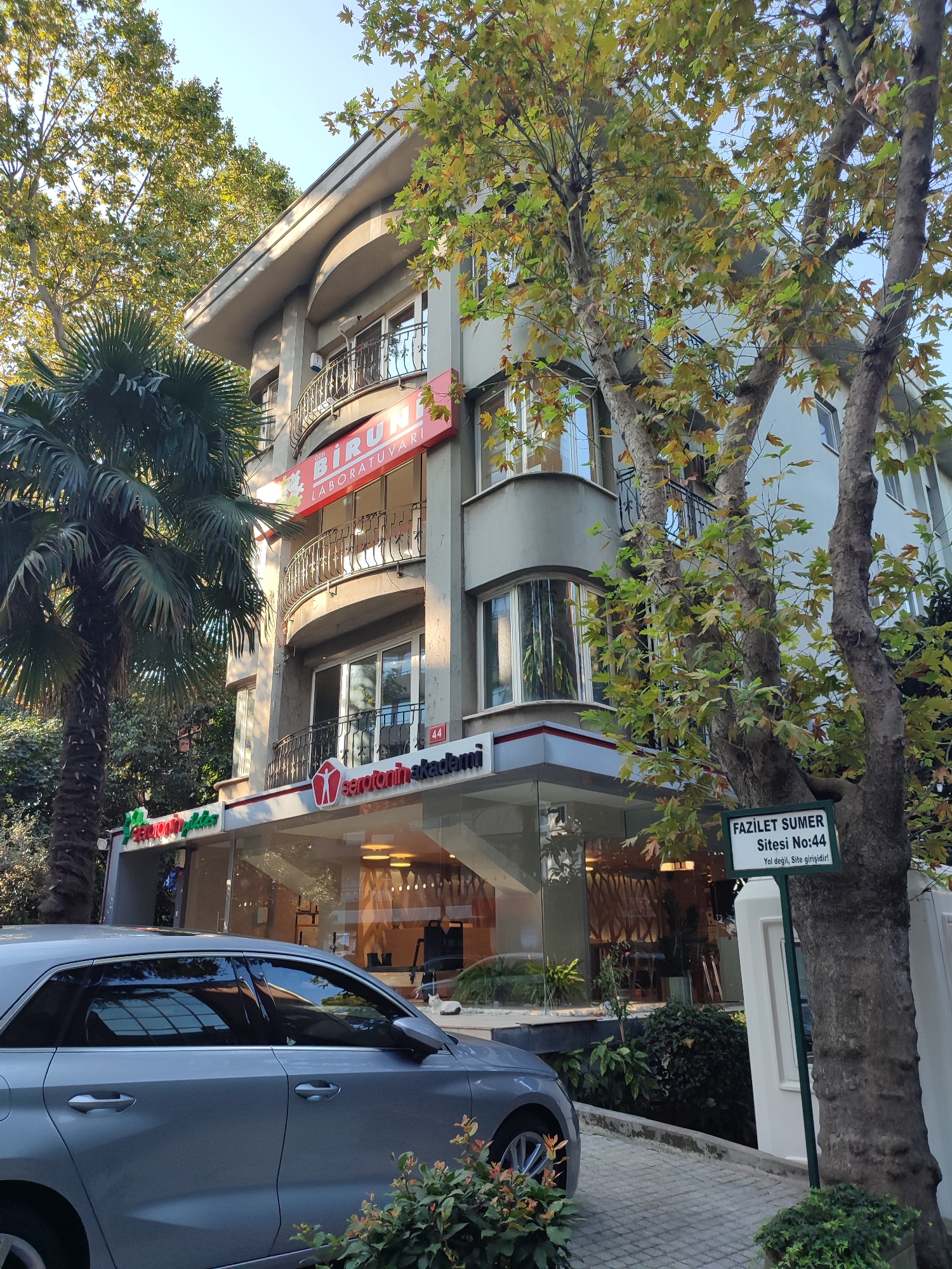 A low-angle, exterior, medium shot captures a building with a sign that reads "SEROTONIN AKADEMİ" in front of which is a grey car. The building is a multi-story structure with rounded balconies. A red sign above the balconies reads "DR. BİRUM LABORATUVARI". A green street sign is visible on the right, identifying the location as "FAZİLET SUMER Sitesi No:44 Yol değil, Site girişidir!". The scene is partially shaded by trees with yellowing leaves, indicating an autumn season. A palm tree is visible to the left of the building. The overall setting appears to be a residential or commercial street in Kadıköy, Turkey.