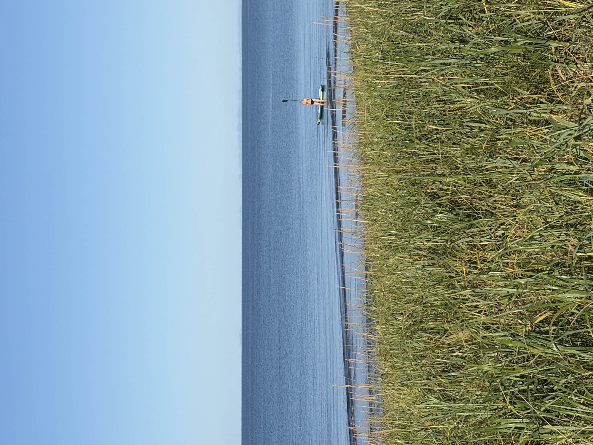 A person is paddleboarding on a body of water, near a shoreline covered in tall green grass. The water is calm and reflects the clear blue sky. In the distance, a faint outline of land is visible on the horizon. The scene is serene and tranquil, suggesting a peaceful day outdoors. The location is the city of Ozerskoe, Russia.