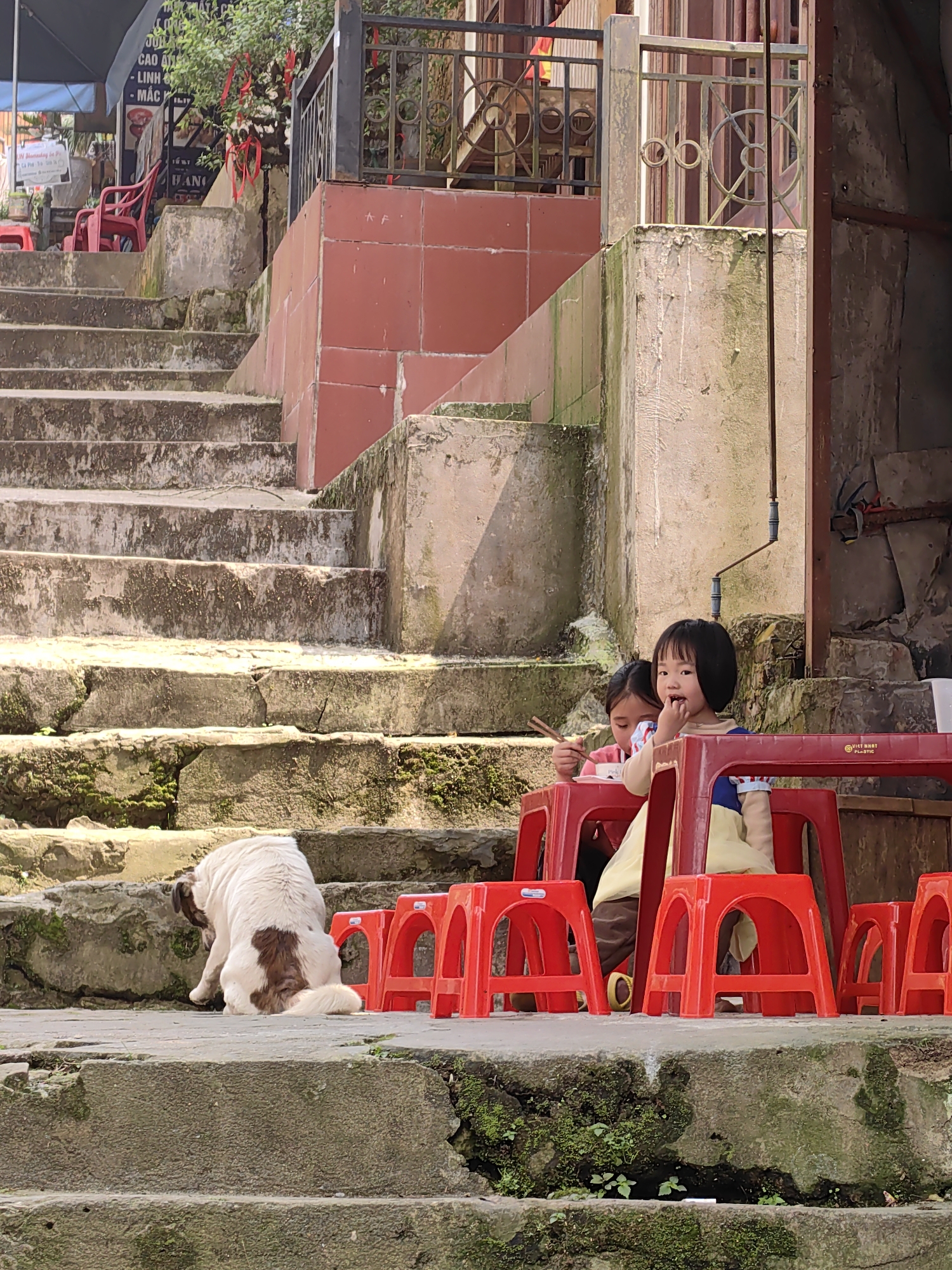 The image captures an outdoor scene in Sa Pa, Vietnam, focusing on a multi-tiered concrete staircase and an adjacent landing, likely situated near a street-level commercial establishment. On the right side of the landing, two young children are seated at small red plastic tables and stools. The child in the foreground, with short dark hair, wears a blue and yellow dress and has her right hand positioned near her mouth. Behind and slightly to the left, a second child is visible, holding chopsticks over a white bowl, appearing to be eating. Several additional red plastic stools are arranged around the children; one table leg displays "VIET NHAT PLASTIC". To the left, on a lower concrete step, a white dog with brown patches is seated, facing away from the viewer, with its head lowered, engaged in self-grooming. The concrete stairs and surrounding retaining walls exhibit significant wear, cracks, and visible moss growth. A building section with red tile cladding and a decorative dark metal railing is present in the upper right background. Partial signage with Vietnamese text is visible in the upper left background, suggesting a cafe or similar business.