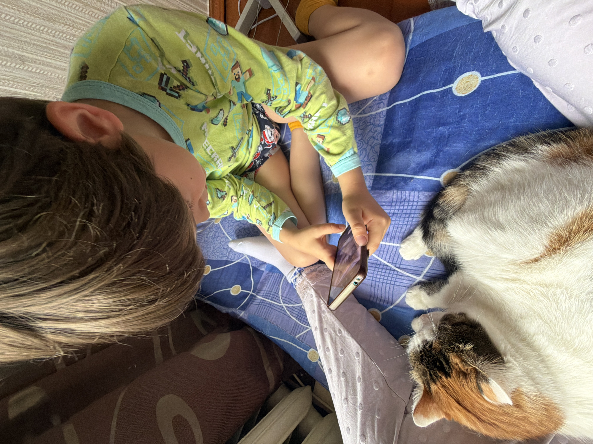 A child in pajamas is kneeling on a blue blanket, holding a smartphone and looking at it. A calico cat is lying next to the child on the blanket, looking up at the child. The child's legs and feet are visible, as is the cat's head and front paws. The background is blurry and appears to be a room with a window and curtains. The scene takes place in a bedroom in the city of Kolychevo, Russia.