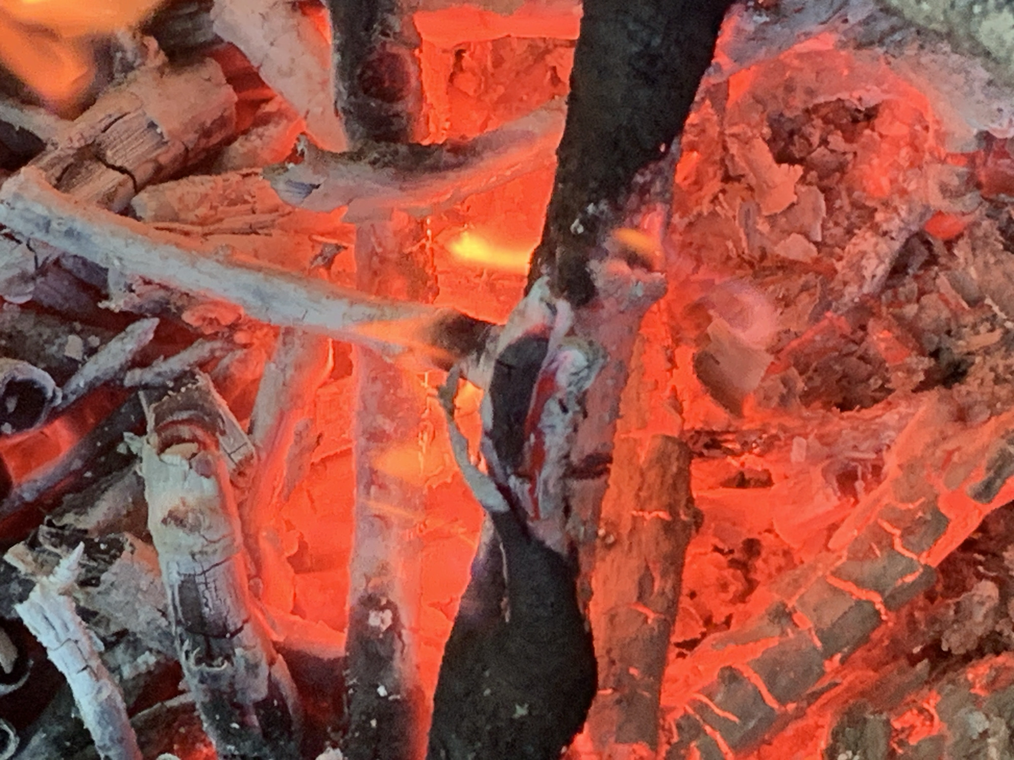 The image presents a close-up, high-detail view of actively burning solid fuel, consistent with wood or charcoal embers. The dominant colors are intense orange and red, indicative of high temperatures, intermingled with varying shades of grey, black, and white. Numerous irregularly shaped fragments of charred material are visible, many exhibiting a bright incandescent red glow. Several of these fragments are partially or fully covered with a layer of light grey to white ash, revealing intricate crack patterns and fibrous textures on their surfaces. Small, localized yellow-orange flames are observable at multiple points within the burning material, particularly in the central and right sections of the frame. The overall scene conveys a sustained state of combustion. No human subjects, identifiable man-made structures beyond the burning material itself, or specific environmental features are discernible. The precise location is in the city of Unknown, Unknown.