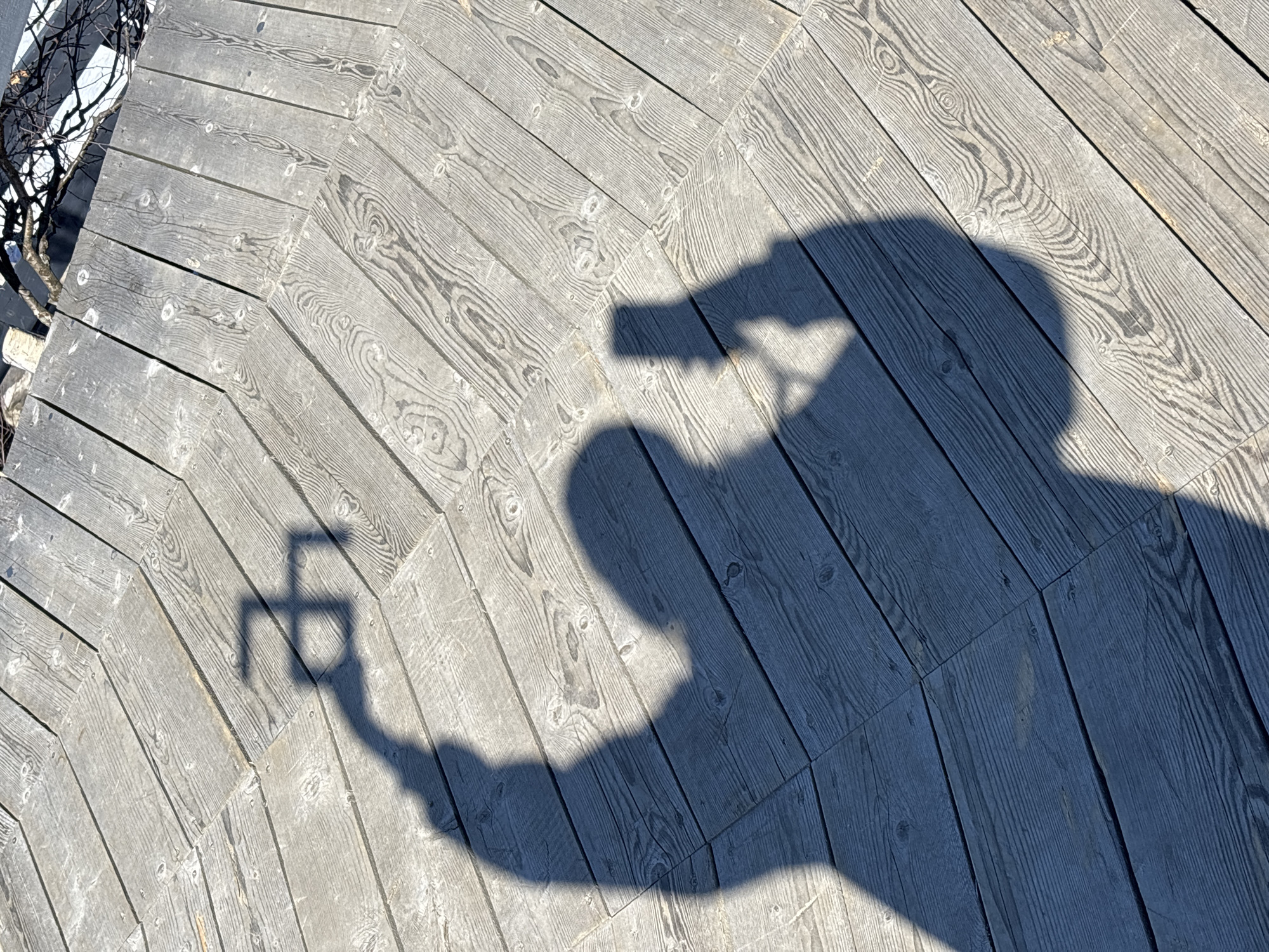 A shadow of a person holding a camera and taking a picture is cast on a wooden deck in Gubakha, Russia. The deck planks are laid in a herringbone pattern and are weathered gray. A small patch of snow is visible on the left edge of the deck, near some bare branches. The person's head is silhouetted with the camera held in their hand.