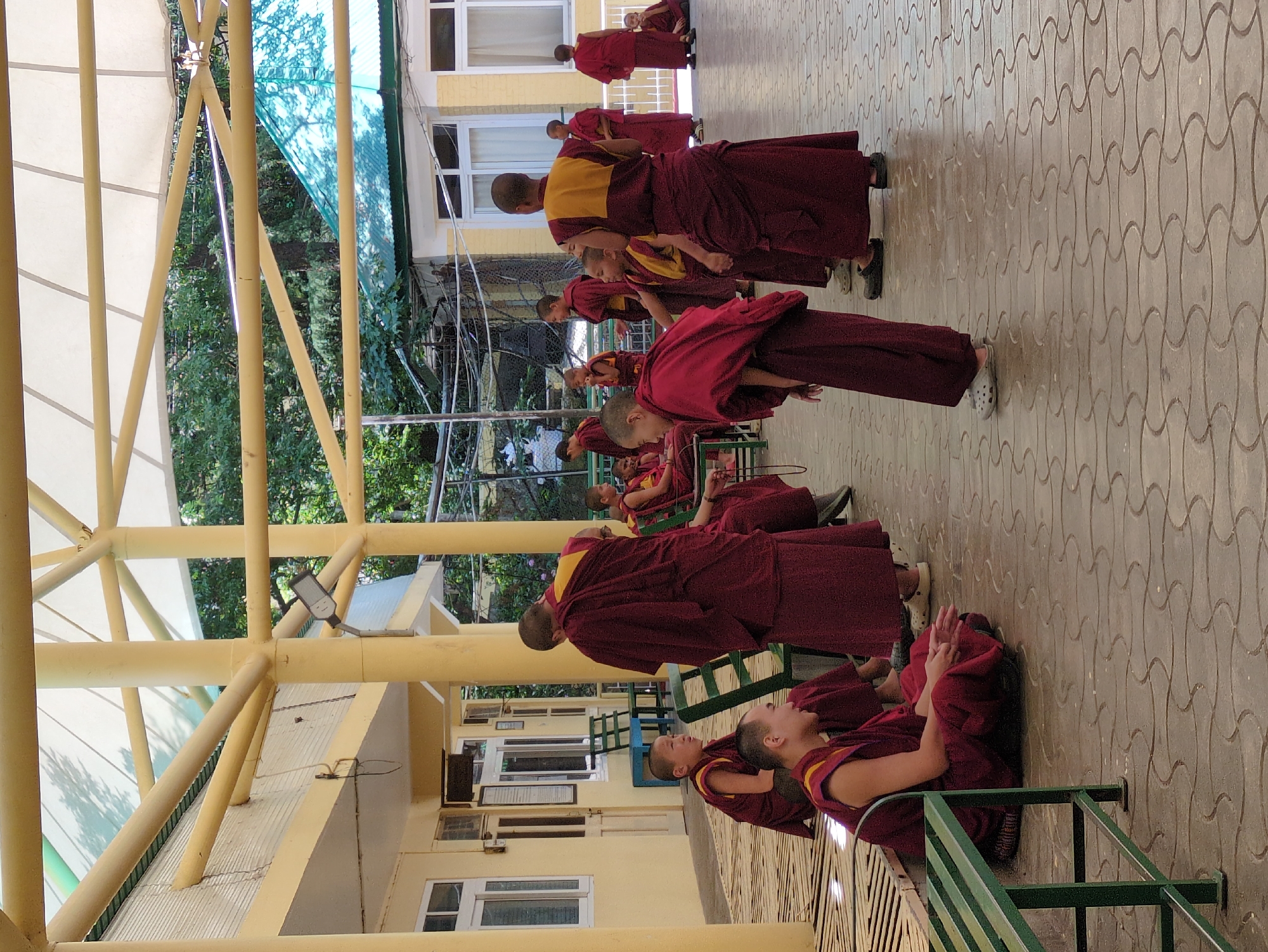 The image shows a group of young Buddhist monks in saffron and maroon robes gathered outdoors under a covered walkway. The architecture suggests a monastery or educational institution, with yellow walls, white window frames, and a pale yellow tubular structure supporting a translucent roof overhead. Green benches are visible, some occupied by monks sitting or kneeling, while others stand. The ground is paved with interlocking stone tiles. In the background, a green roofed building and lush trees indicate a natural, possibly mountainous environment, consistent with Dharamshala, India. The monks appear to be engaged in conversation or contemplation, with some interacting with each other.
