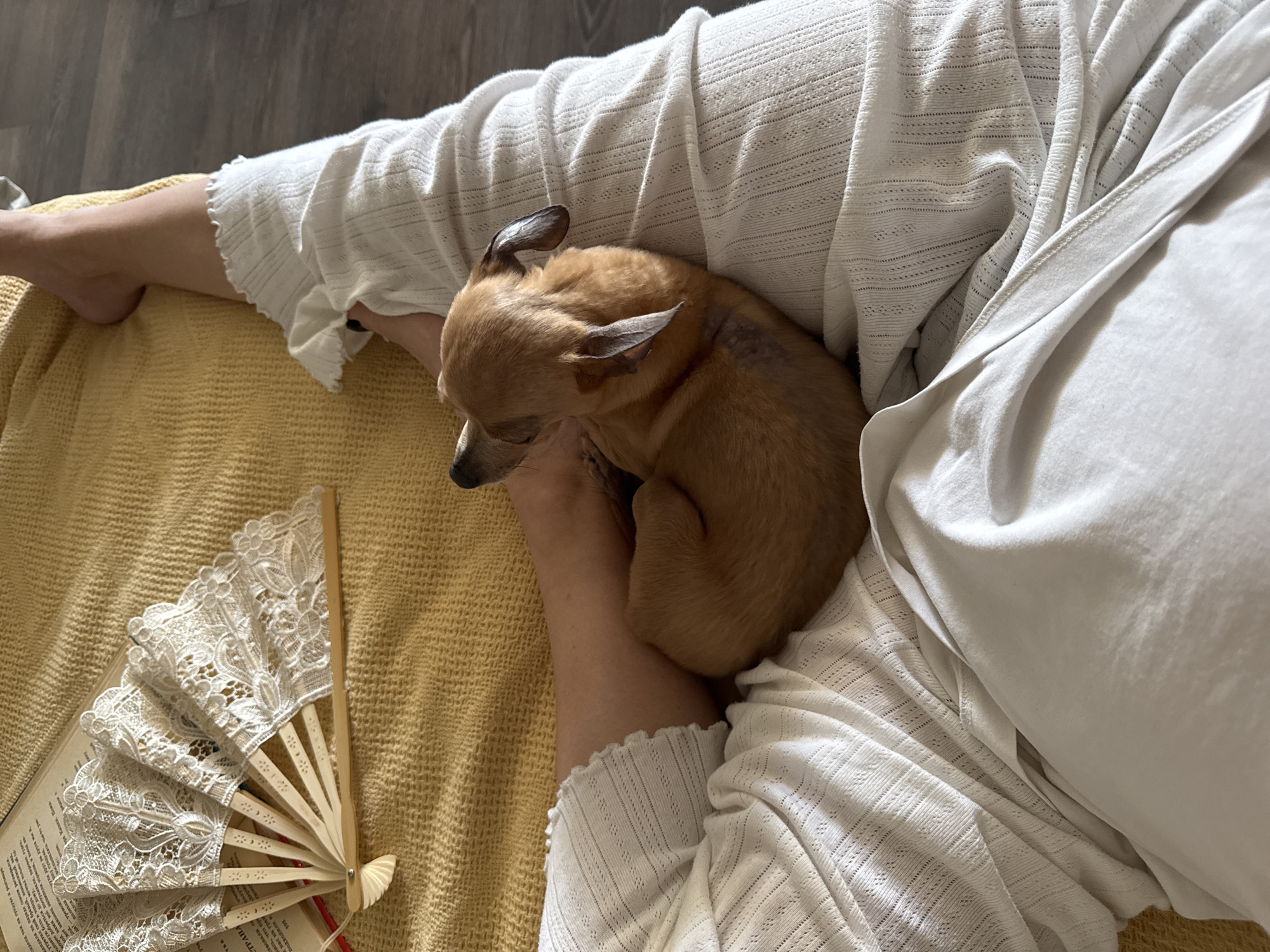 An overhead view captures a person's lower body and a small dog in an indoor setting. The person is partially visible, with their bare right foot resting on a textured yellow fabric surface. Their legs are covered by white, ribbed, full-length lounge pants featuring a ruffled hem above the ankle. Dark polish is present on the toenails of the visible foot. A small, short-haired dog with light brown fur is curled up, resting on the person's upper leg/lap area. The dog is positioned with its back to the viewer, exhibiting dark, floppy ears and a patch of darker fur or skin discoloration on its right flank. To the upper left, an open book with visible Cyrillic text, identifiable as Russian, lies on the yellow fabric. A white, intricately laced or embroidered folding fan is open and rests atop the book's pages. The background reveals a dark wooden floor with distinct planks. The image does not contain any visual information to confirm a location in the city of Chaikovsky, Russia.