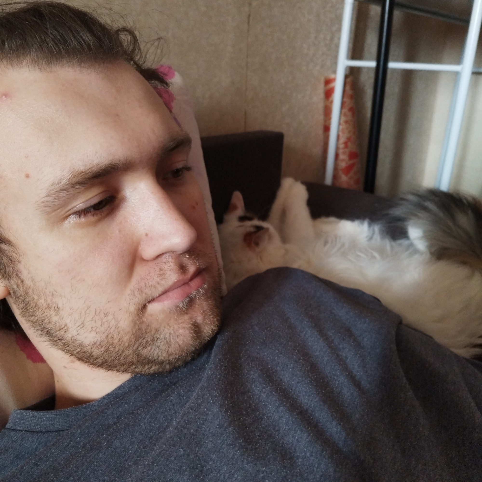 A man with light skin, dark brown hair pulled back, and a light stubble beard is shown in a close-up, indoor portrait. He wears a dark grey t-shirt and is reclining or lying down, looking downwards with a calm, slightly pensive expression. Behind him and to his right, a white cat with patches of grey or black fur is also resting, partially out of focus. The cat appears to be stretching or yawning, with its mouth open and paws raised in a relaxed posture.
The background features a textured, light-colored wall with a vertical seam. To the right, a furniture piece with white and black metal bars, possibly a rack or shelf, is visible. A roll with a reddish-orange geometric pattern leans against the wall. A pillow with pink and white patterns provides support behind the man's head. The setting appears to be a casual home interior, possibly a living room or bedroom. The lighting is soft and even, suggesting a comfortable, relaxed atmosphere. No text is visible in the image.