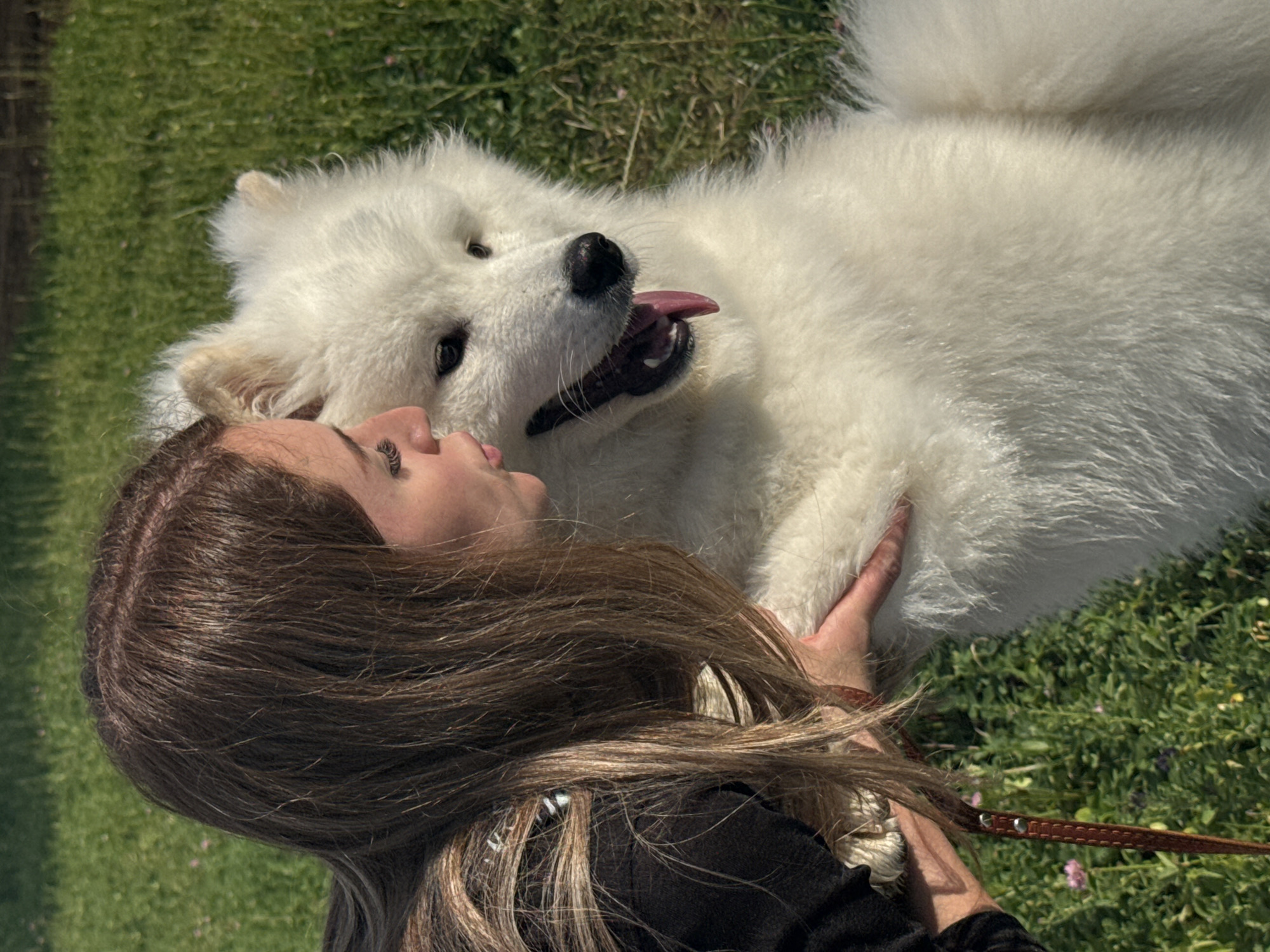 An outdoor medium shot captures a young woman with long, dark blonde hair leaning in to nuzzle a fluffy white Samoyed dog. The woman is wearing a black top and a red bracelet. The dog's mouth is open, and its pink tongue is visible, giving it a happy expression. The background consists of lush green grass with a few small pink flowers. The image is brightly lit by natural sunlight. The scene is not identifiable as being in the city of Chaikovsky, Russia.