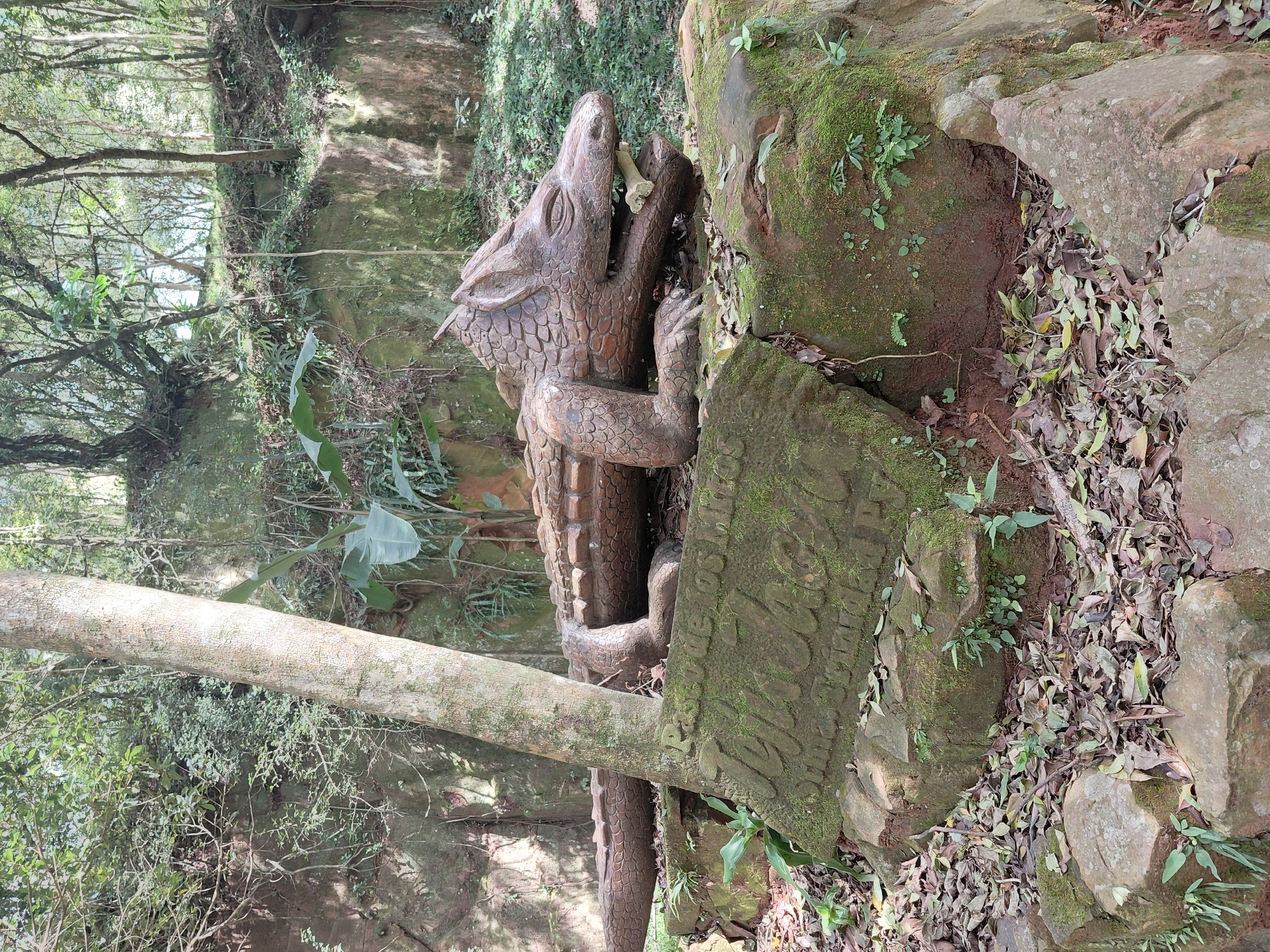 In Trinidad, Paraguay, a wooden sculpture of a crocodile rests on a moss-covered rock formation amidst a forest clearing. The sculpture depicts the crocodile lying down with its mouth open, holding a bone. A stone monument with carved text is visible in the foreground. The surrounding environment is lush with trees, foliage, and fallen leaves. The lighting suggests it is daytime.
