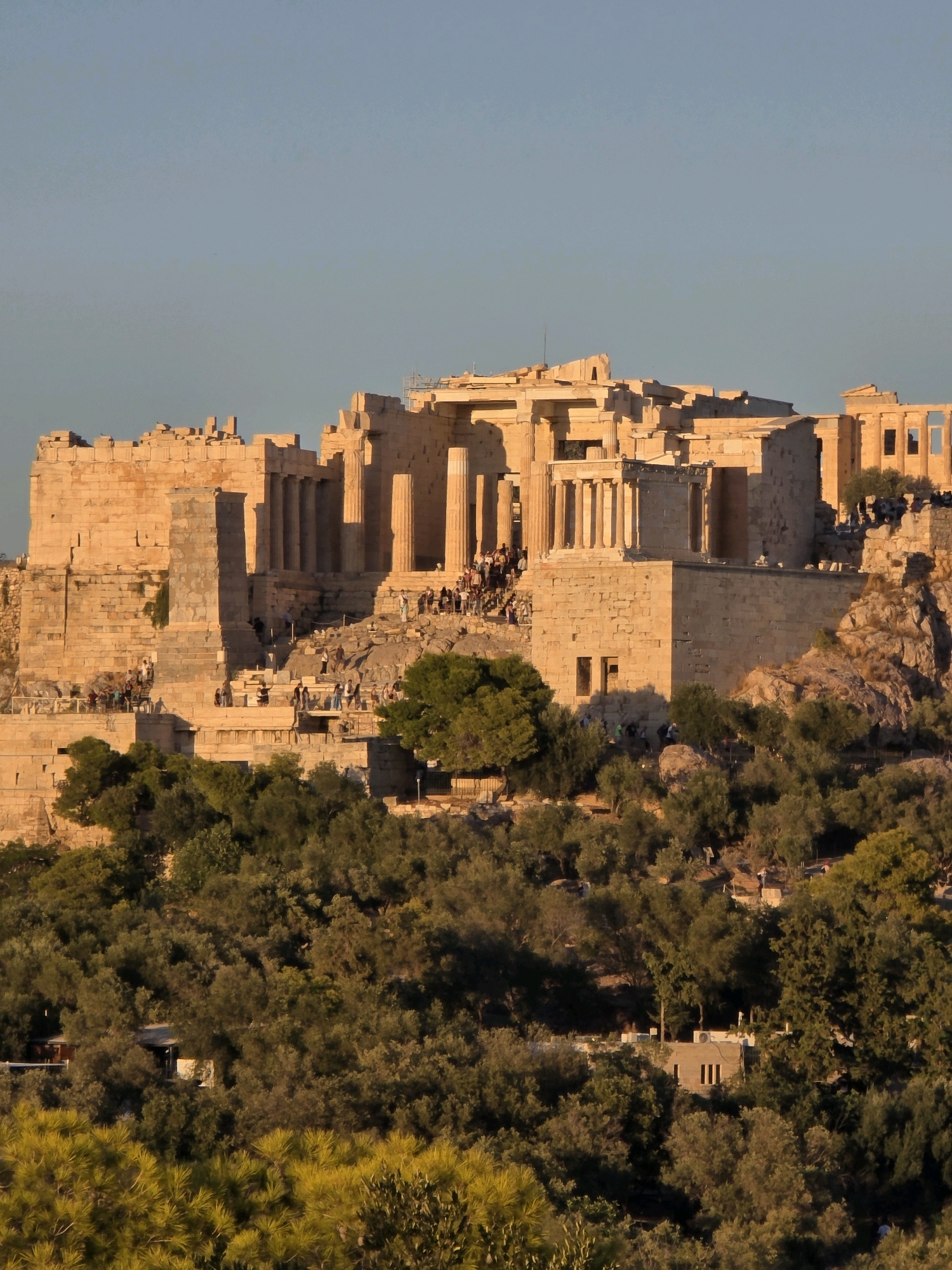 The image shows a telephoto view of the Acropolis of Athens, Greece, bathed in the warm light of what appears to be late afternoon or early evening. The ancient marble structures, including the Propylaea and the Erechtheion, are prominently featured, showcasing their architectural details. Numerous tourists are visible, scattered across the pathways and steps leading up to and around the historical site, engaging in sightseeing. Below the Acropolis, a dense, green landscape of trees and foliage dominates the foreground, with hints of buildings and structures nestled within the vegetation. The sky above is a clear, pale blue, indicating fair weather conditions. The overall impression is one of a well-preserved ancient monument against a backdrop of natural beauty and contemporary human activity.