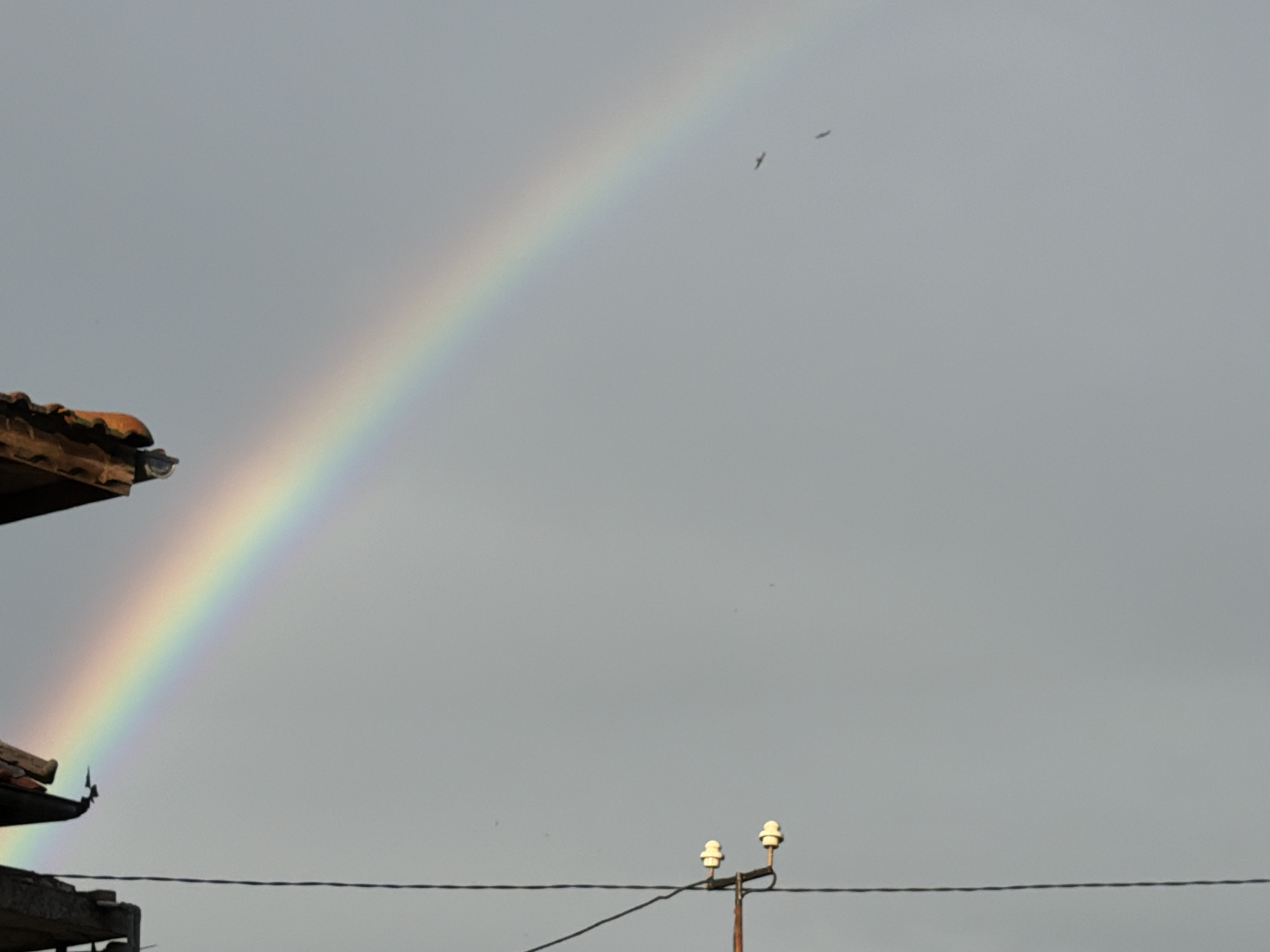 The image depicts a rainbow in a cloudy sky. The rainbow's arc begins near the corner of a building with tiled roofing at the lower left and curves upward towards the right. Two birds are visible in the sky within the rainbow's arc. In the foreground, a utility pole with electrical insulators and wires stretches across the bottom of the frame. The location is suggested to be Burgas, Bulgaria.