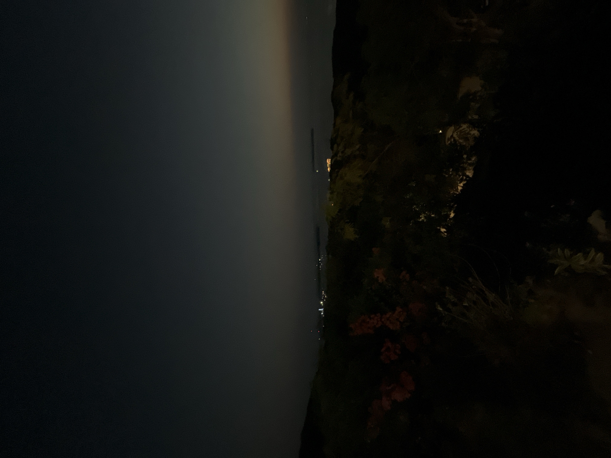 The image captures a dimly lit nighttime landscape, possibly from a vantage point overlooking a body of water. In the foreground, dark foliage and some reddish flowers are visible, hinting at a natural environment. In the distance, a faint line of lights suggests a town or city on the coast. The sky is a deep, dark hue, with a subtle gradient of lighter tones near the horizon, indicating either twilight or light pollution. The overall atmosphere is serene and somewhat mysterious due to the low light conditions. The reference to Karimunjawa, Indonesia, suggests this could be a view of the island's coastline at night, possibly from a hill or elevated area, with the distant lights representing the town or other settlements.