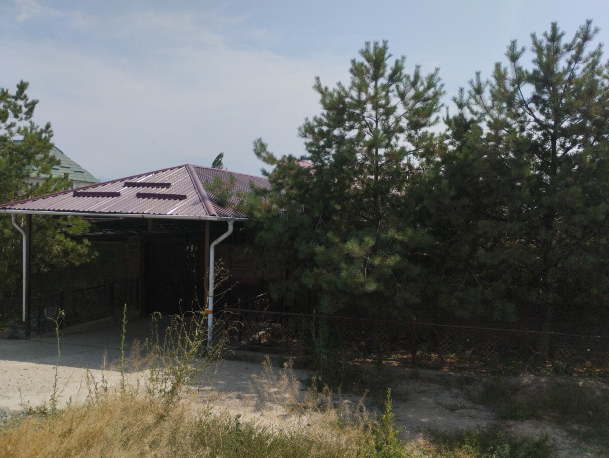 A low-angle, wide shot captures a house with a dark red, corrugated metal roof and a covered outdoor area with similar roofing. The house is nestled behind a row of mature pine trees. To the left of the main house, another building with a green, slanted roof is partially visible. A white downspout extends from the red roof down to ground level. A dark metal fence with ornamental scrollwork runs along the property line. The foreground is dominated by dry, yellowed grass and sparse green vegetation, indicating a potentially dry or late-season environment. The ground appears to be a mix of dirt and gravel. The sky is a pale blue with wispy clouds. The scene is located in the Калыс-Ордо жаңы курулушу area of Kyrgyzstan. There are no people visible in the image.