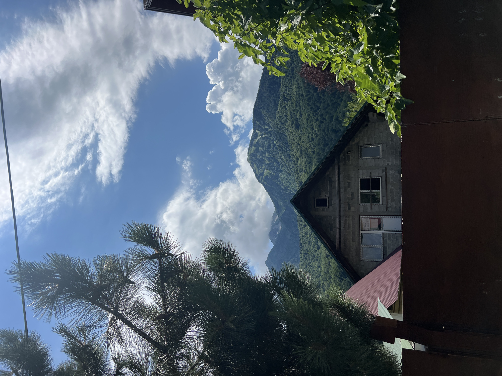 A vertical, eye-level shot captures a view from behind a dark brown fence, looking out at a mountainous landscape in Krasnaya Polyana, Russia. In the foreground, the branches of a dark green pine tree frame the left side of the image, while lush green leaves of another tree dominate the right. Behind these, a house with a gabled, reddish-brown roof is visible. The house appears to be constructed of cinder blocks and has at least two windows on its facade, one of which is partially obscured by light-colored curtains. A small, dark-paned attic window is situated in the gable. Beyond the house, a vast mountain range covered in dense green forest rises towards a bright blue sky dotted with fluffy white clouds. The mountains appear to be shrouded in a light mist in the distance. The scene is bathed in natural daylight, suggesting it is daytime. There are no people visible in the frame.