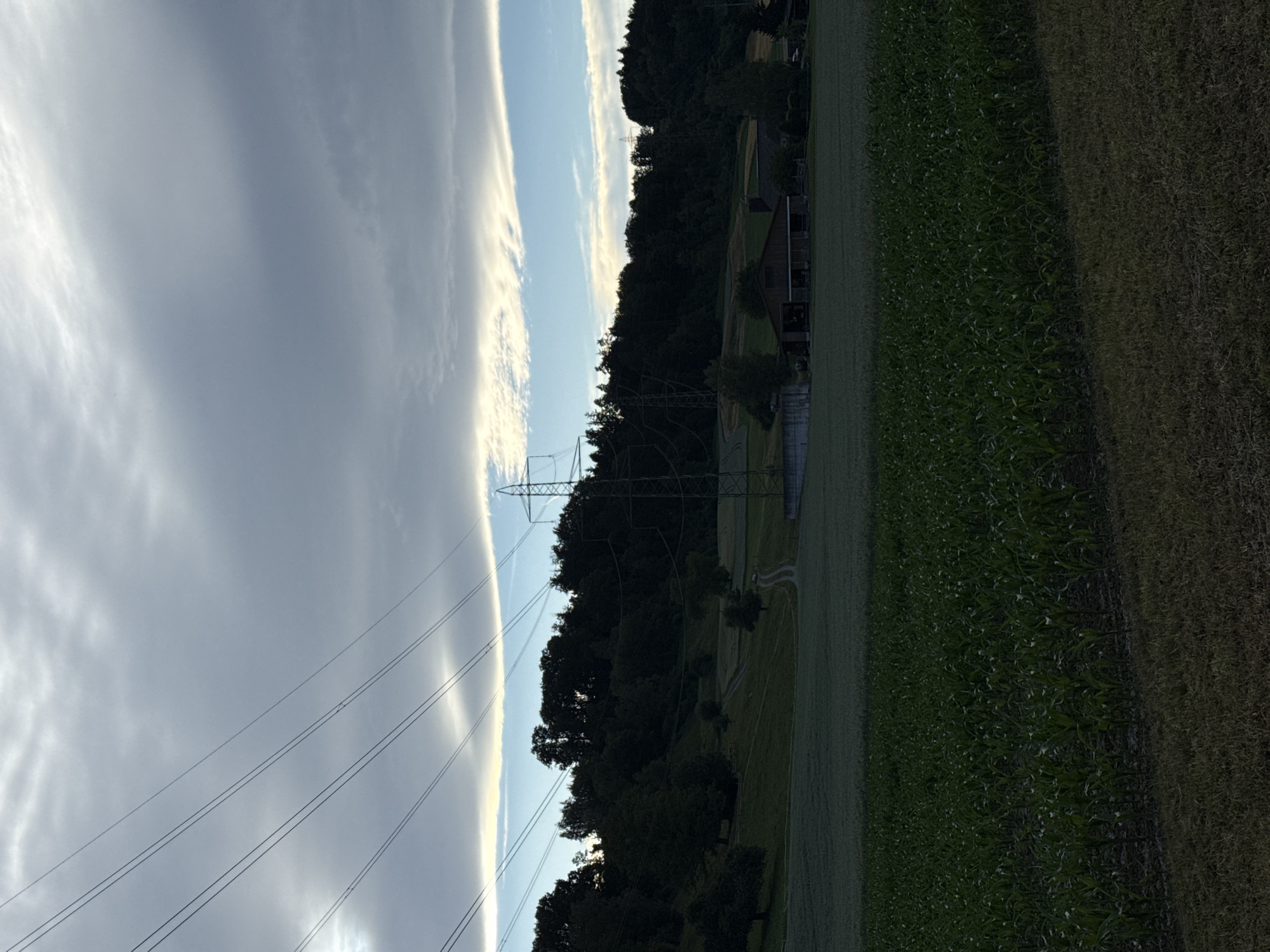 The image depicts a rural landscape in Lufingen, Switzerland. In the foreground, a field of young corn plants stretches across the frame, with dry grass visible at the very bottom. Behind the cornfield, a larger, darker green field, possibly a different crop or pasture, is visible. In the mid-ground, a gently sloping hill is covered in grass, with a dirt path winding through it. Scattered trees and bushes dot the hillside, and a small cluster of buildings, including a barn-like structure, is situated on the right side of the hill. A prominent set of power lines, supported by a large transmission tower on the right, traverses the scene diagonally from the top left towards the mid-right. The background is dominated by a dense line of dark green trees forming a forest that crowns the hill. The sky above is dramatic, with thick, layered clouds ranging from dark gray to lighter shades, interspersed with streaks of bright blue and hints of white light, suggesting either early morning or late evening. The overall impression is a serene, agricultural setting under a dynamic sky.