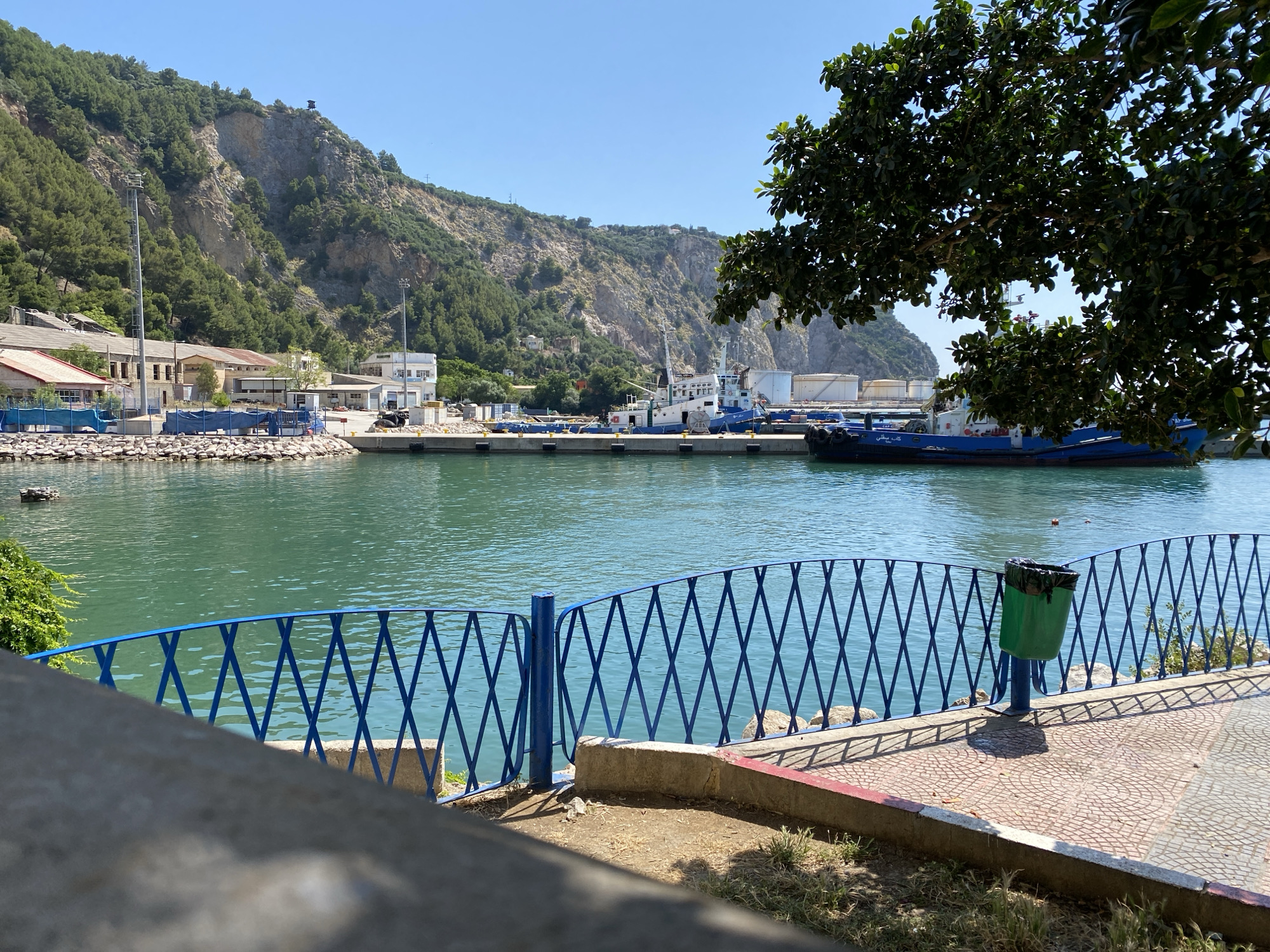 The image presents a sunlit view of a harbor or port area, likely in Bejaia, Algeria. In the immediate foreground, a vibrant blue metal fence with a diamond criss-cross pattern separates a paved pedestrian area from the turquoise-green harbor water. A green trash can is mounted on a post along this fence. The walkway is laid with patterned tiles and bordered by a red and white curb.
Beyond the fence, several boats are docked. On the right, a blue tugboat is partially obscured by the lush green leaves of an overhead tree branch. Arabic text, "كاب يتيم," is visible on the bow of this vessel. To the left, a larger white and blue boat, possibly another tugboat or small cargo ship, is moored alongside industrial structures. These structures include various buildings, some with red roofs, tall metal light poles, and storage areas covered with blue tarps. In the background, steep, tree-covered mountains rise dramatically from the water's edge, forming a natural backdrop to the port. A small structure, possibly a watchtower or antenna, is discernible on one of the mountain peaks.
The sky is clear and bright blue, indicative of a sunny day, most likely around midday, given the distinct shadows cast by the fence and other objects. No people are visible in the scene, which appears quiet and functional.