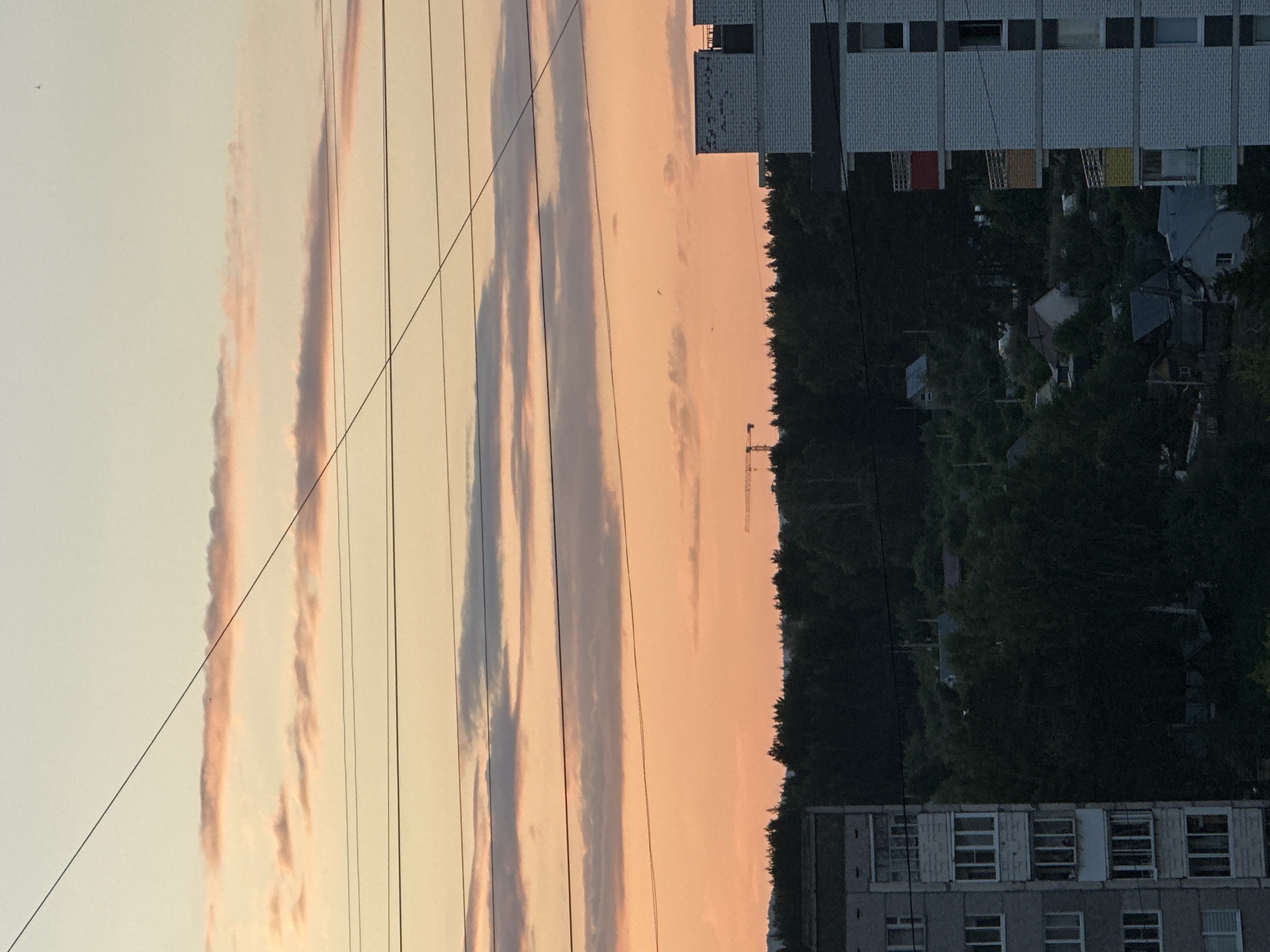 The image, viewed in its correct orientation, presents a serene urban or suburban landscape scene, likely captured during sunset or sunrise in Chaikovsky, Russia. The expansive sky, occupying the upper portion of the frame, transitions from a pale, light yellow to soft hues of orange and pink, punctuated by long, parallel streaks of muted grey and rose-colored clouds. Several dark, thin power lines run horizontally across this vivid sky.
A dense treeline, appearing as a dark green silhouette, forms the horizon line, creating a stark contrast against the luminous sky. In the mid-distance, a tall, slender construction crane is faintly visible above the trees, silhouetted against the bright backdrop. Below the treeline, various buildings contribute to the residential setting. A prominent grey, multi-story apartment block with numerous rectangular windows is situated towards the bottom right. Some window frames are dark, others white, and colorful panels (red, yellow, blue, white) are discernible on parts of its facade, possibly indicating balconies or decorative elements. A second, similar building is partially visible in the bottom left corner. Smaller residential structures are nestled within or partially obscured by the trees.
There are no people visible, and no specific activity or event is taking place, contributing to a quiet and still atmosphere. The soft, warm light on the clouds contrasts with the shadowed ground features, suggesting the gentle transition of day to night or vice-versa. No visible text is present within the image.