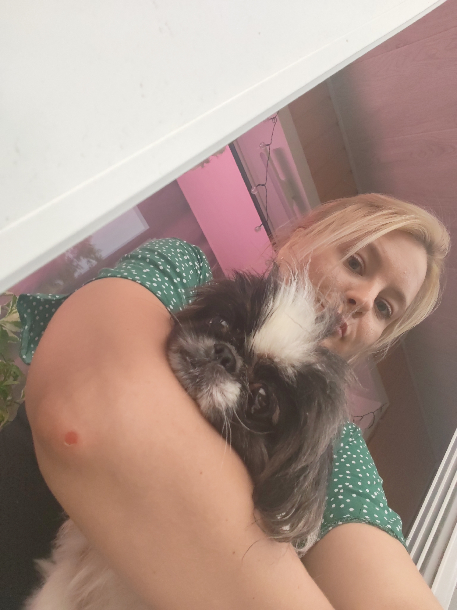 In Izhevsk, Russia, a blonde woman with light skin and a green polka-dot dress is holding a black and white Shih Tzu dog. The woman is looking into the camera, and the dog is positioned in front of her face. The background is indistinct, with hints of pink walls and a white ceiling. There is a plant visible on the left side of the frame. The lighting appears to be artificial.