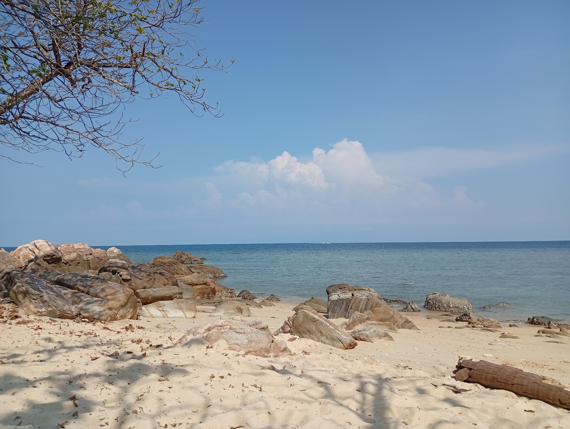 The scene depicts a beach in Baan Sri Thanu, Thailand. The foreground is a sandy beach with shadows cast by a tree with sparse leaves visible in the upper left corner. There are several large rocks scattered on the beach, some near the water's edge. A piece of driftwood lies on the sand in the lower right. The water is calm and a clear blue. A line of land is visible on the horizon, and a few clouds are in the otherwise clear sky. There are no people visible.